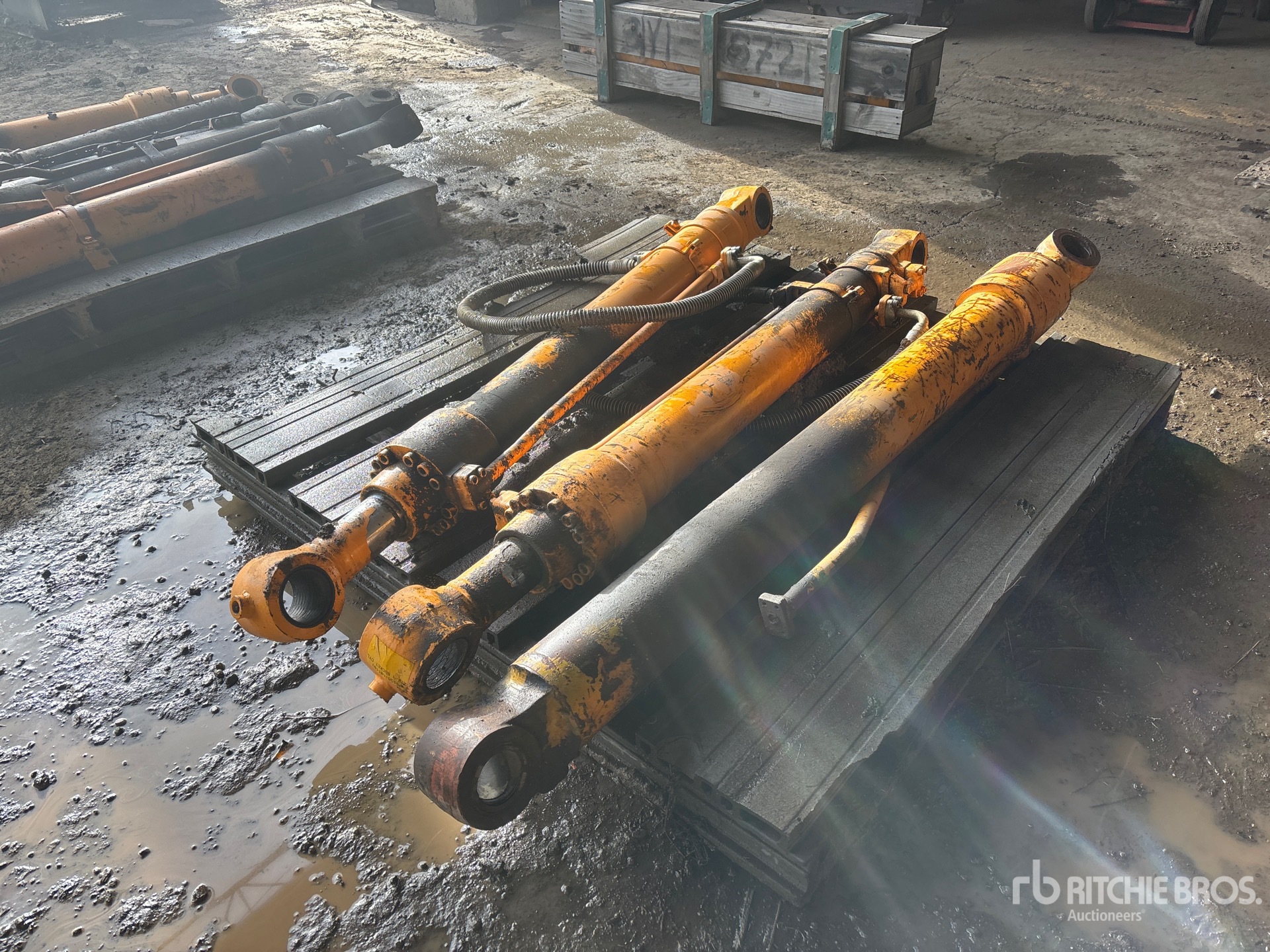 General Appearance with Bild, Ecke hinten links