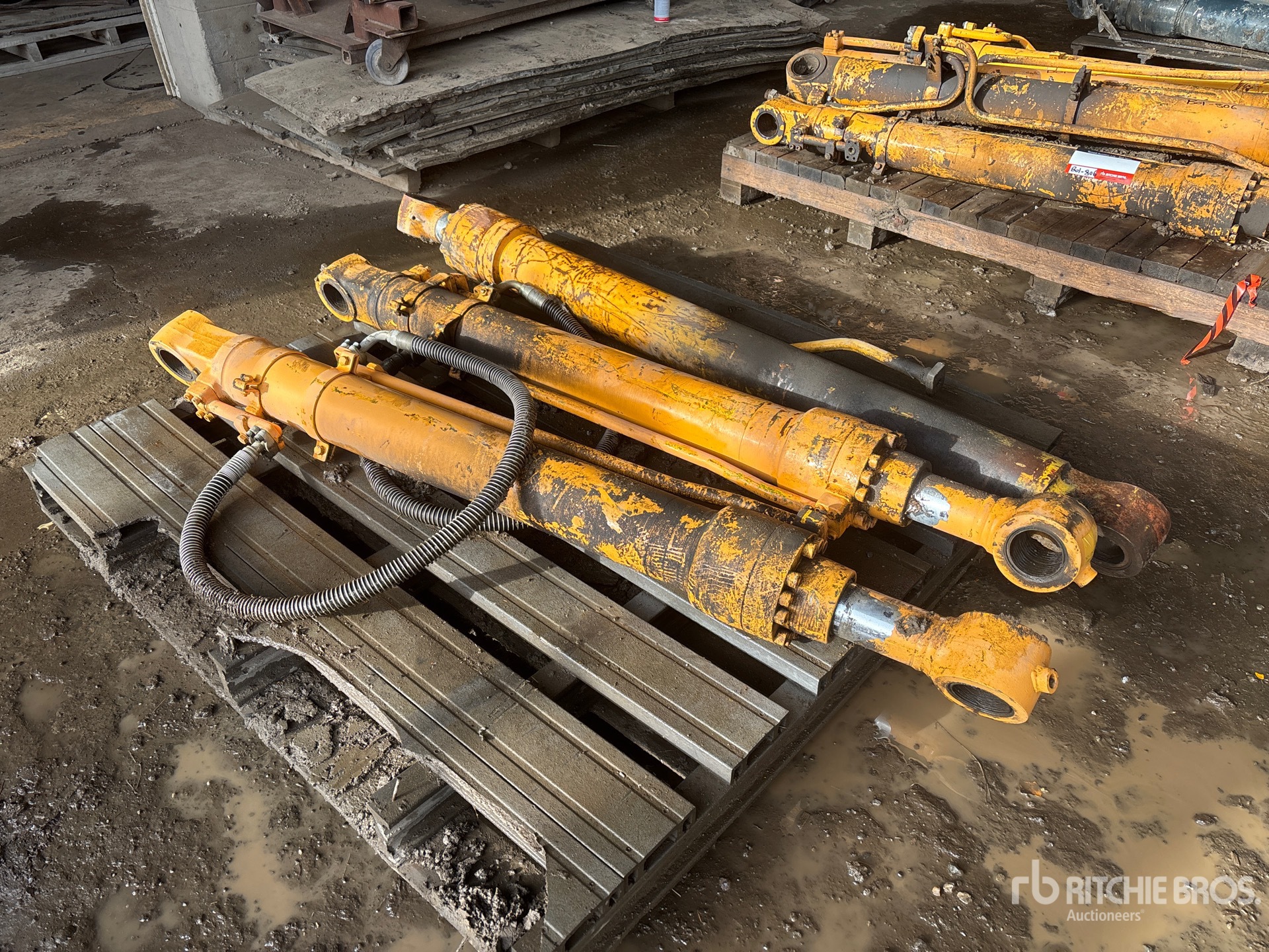 General Appearance with Bild, Ecke vorne links