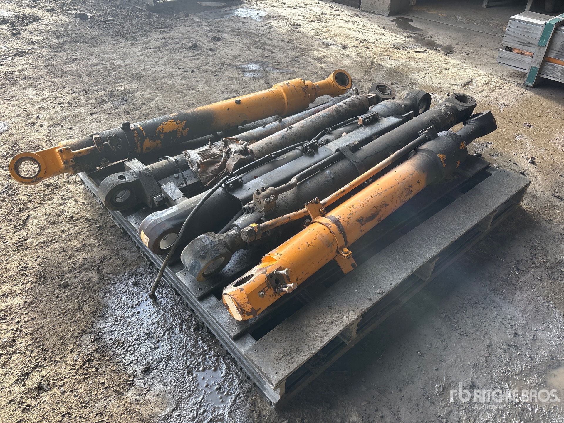 General Appearance with Foto, angolo posteriore sinistro