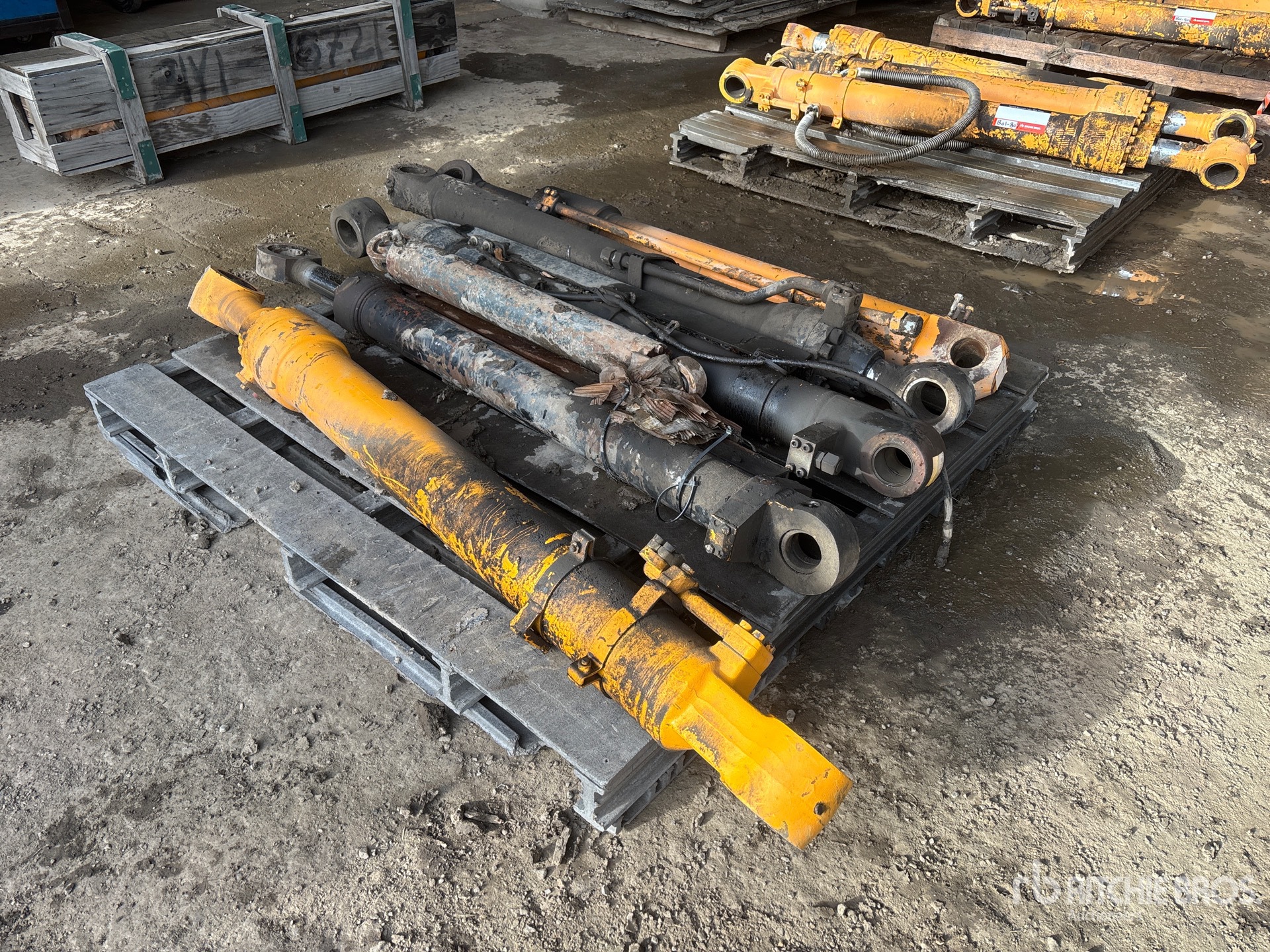 General Appearance with Foto, angolo anteriore sinistro