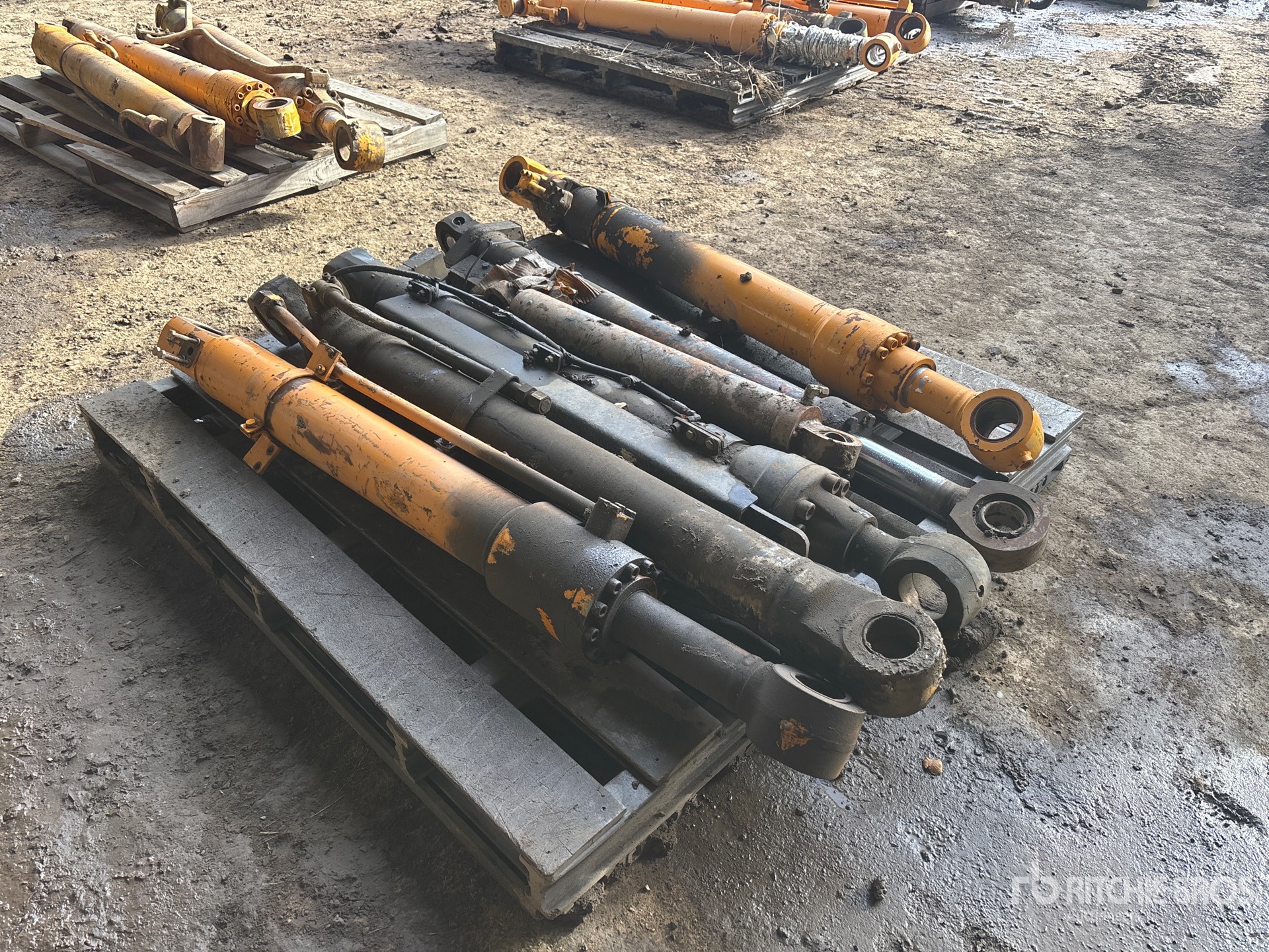 General Appearance with Foto, angolo anteriore sinistro