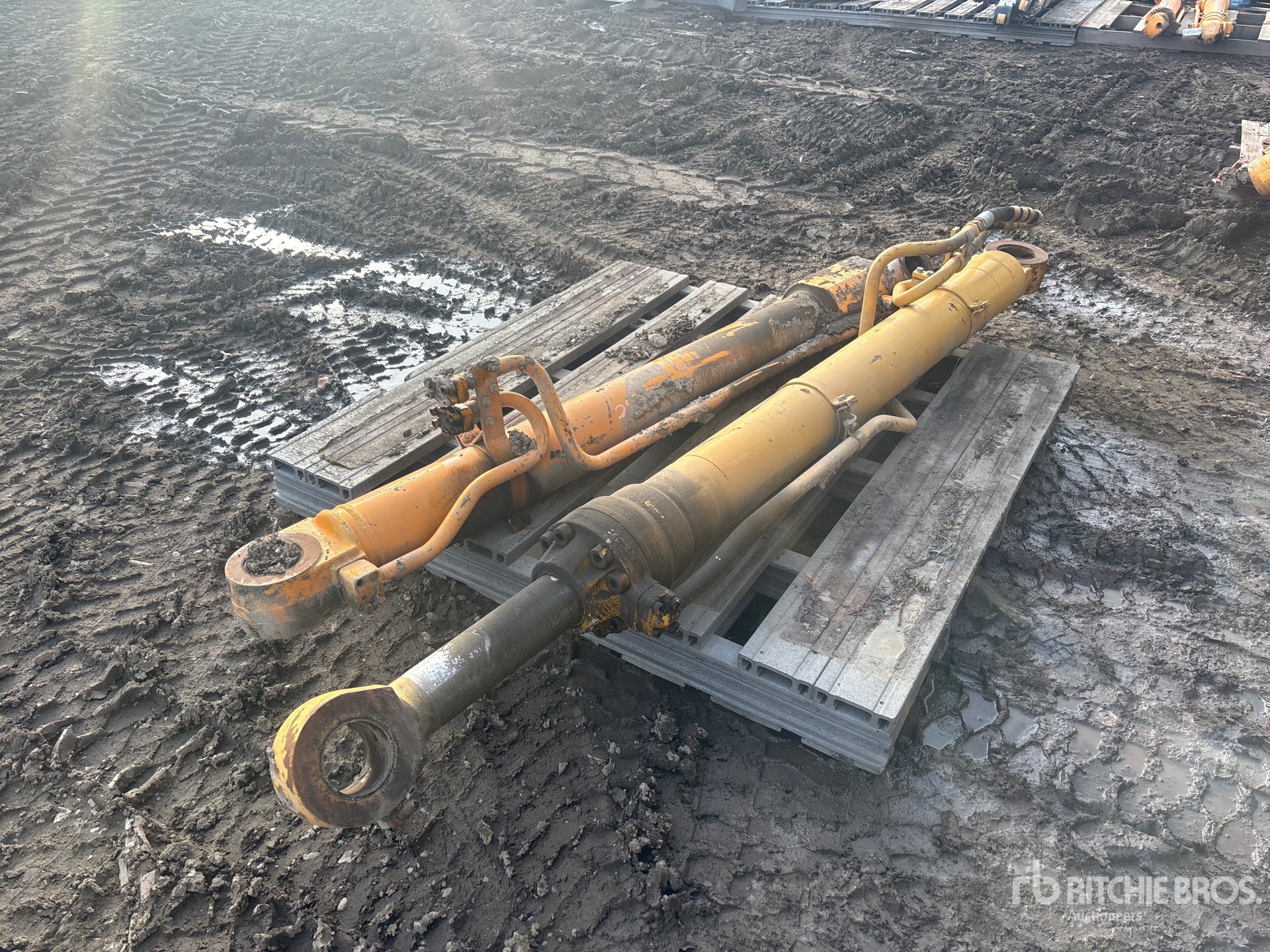 General Appearance with Foto, angolo posteriore sinistro