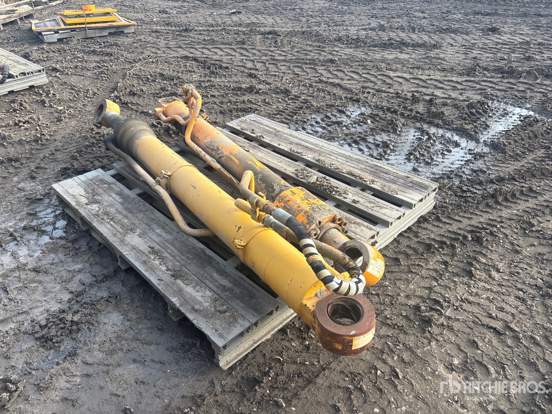 General Appearance with Foto, angolo anteriore sinistro