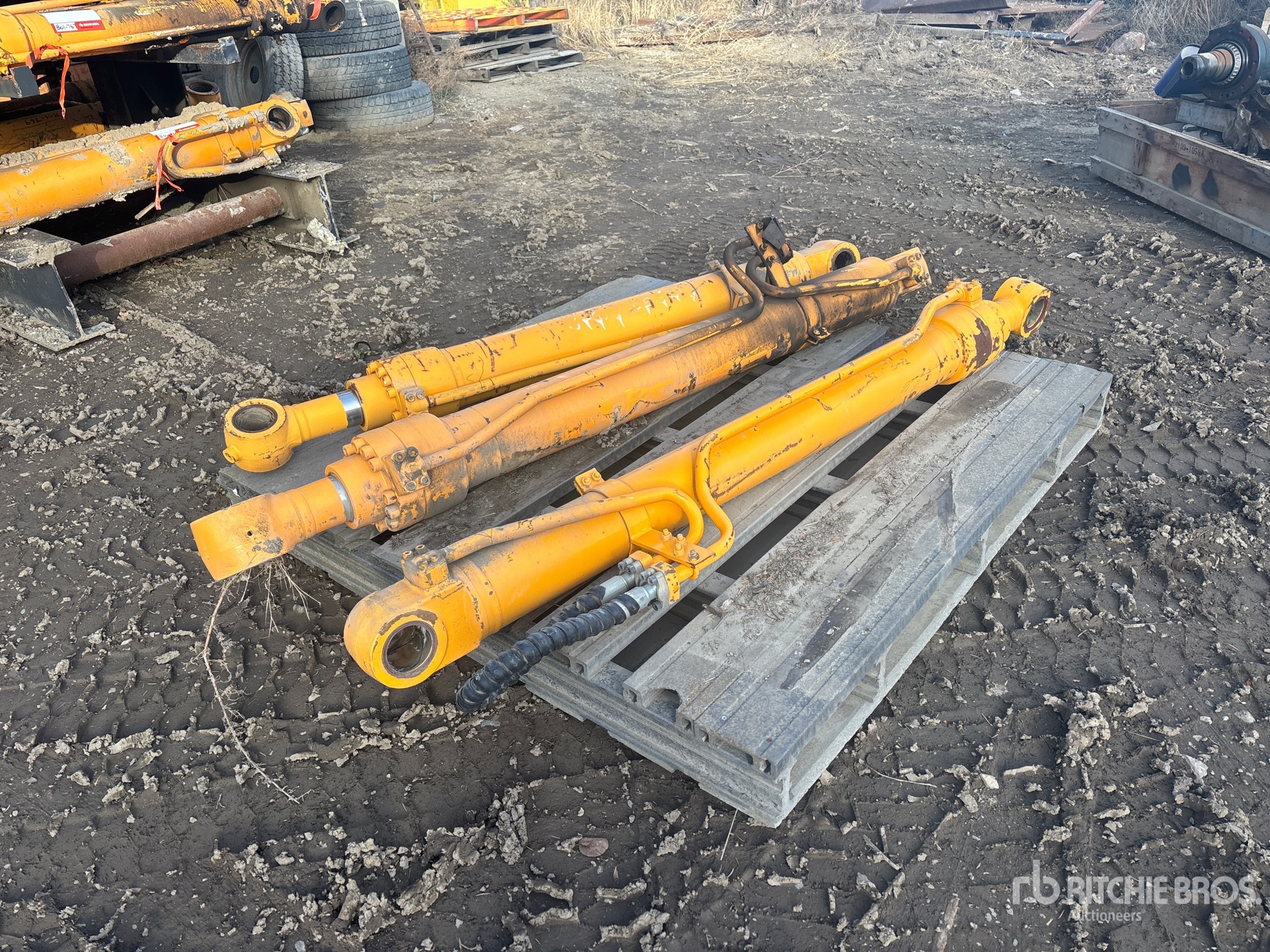 General Appearance with Foto, angolo anteriore destro