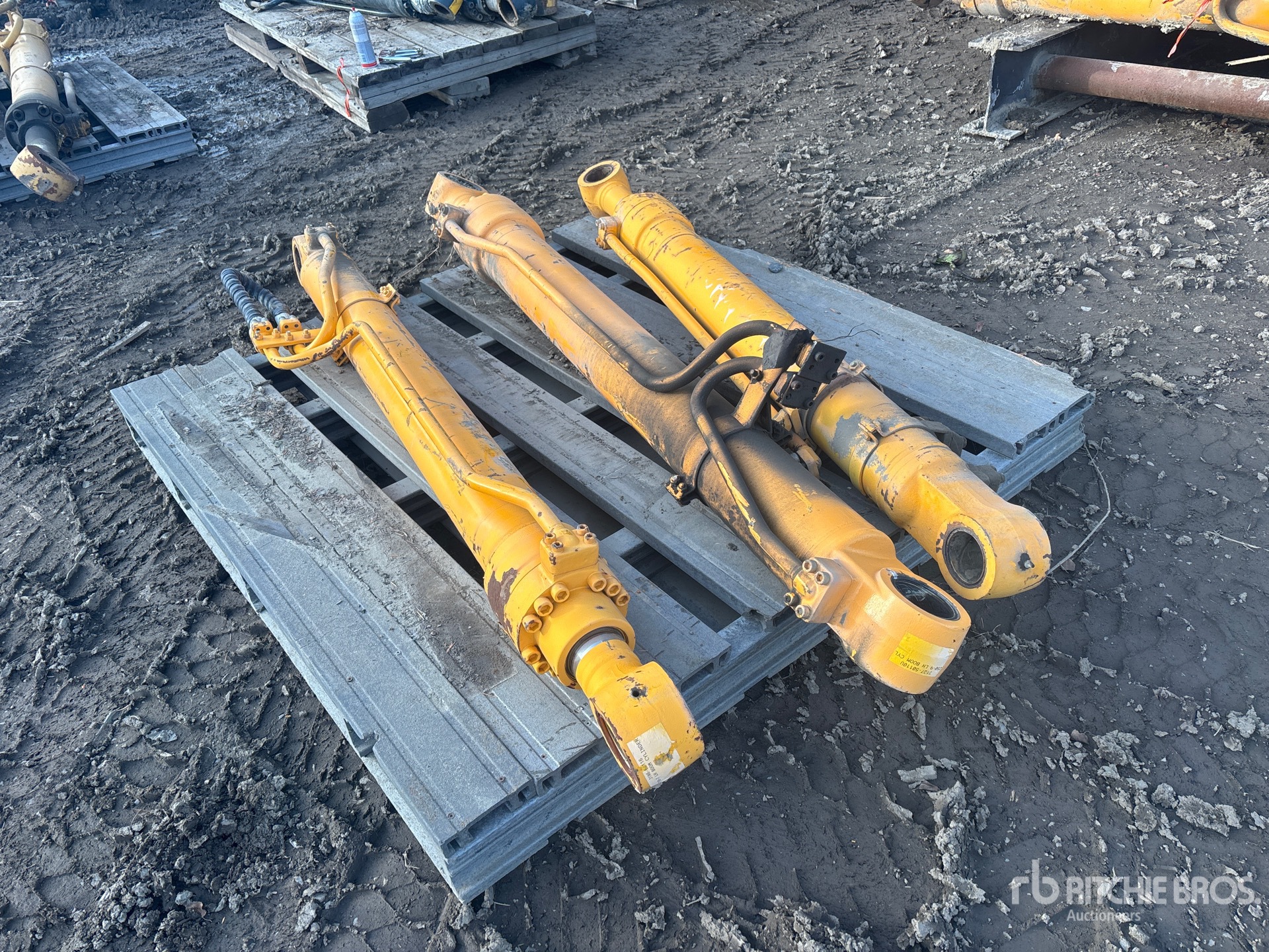 General Appearance with Foto, angolo anteriore sinistro