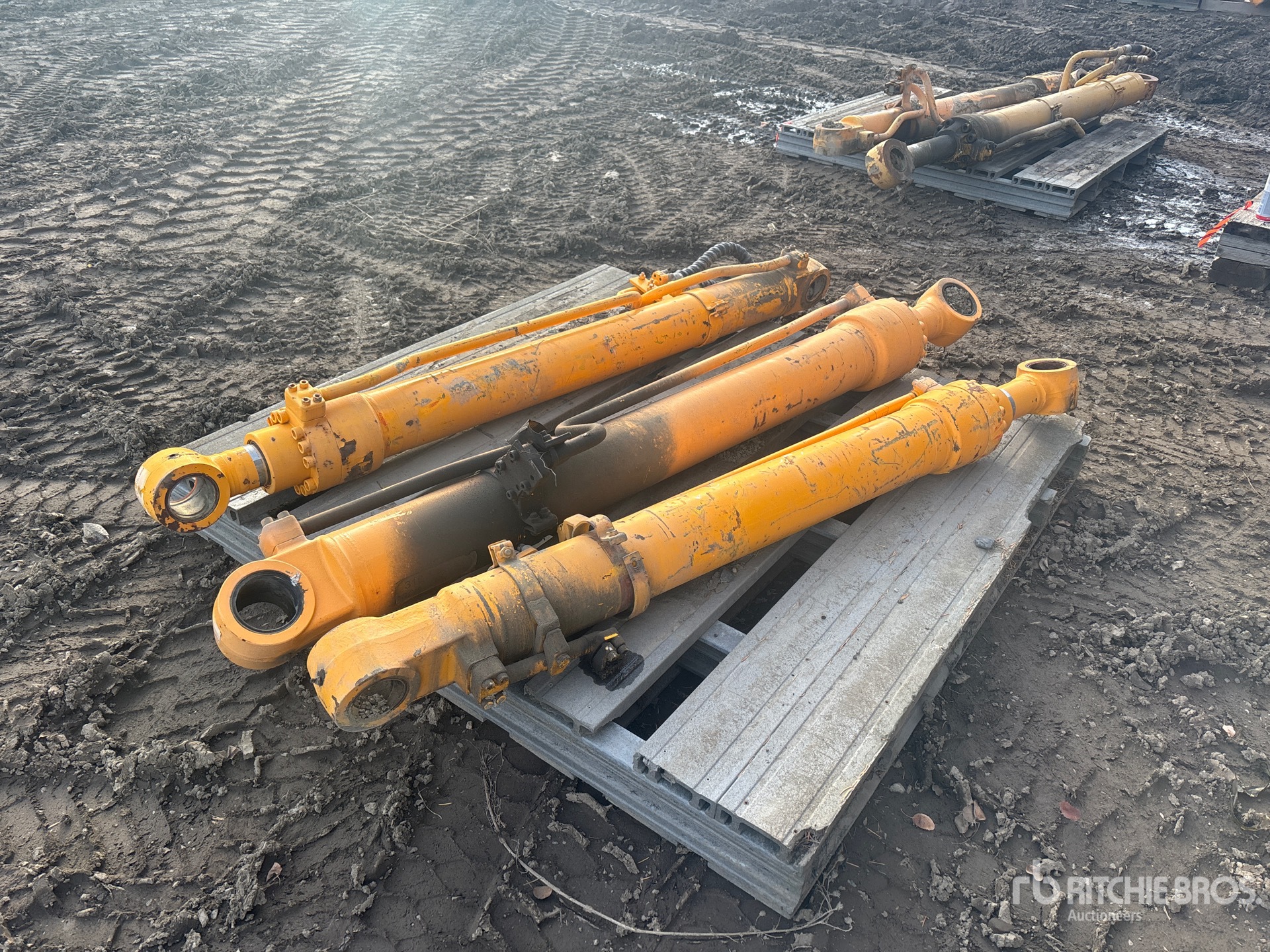 General Appearance with Foto, angolo posteriore sinistro