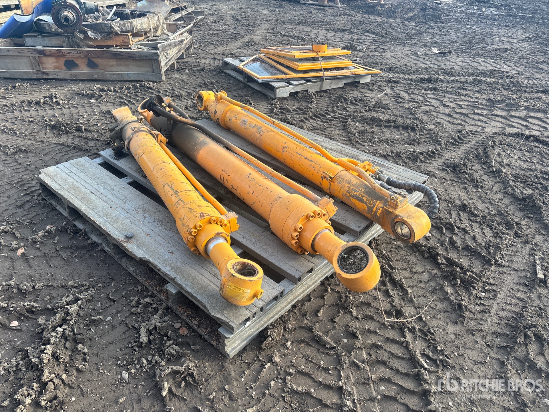 General Appearance with Foto, angolo anteriore sinistro