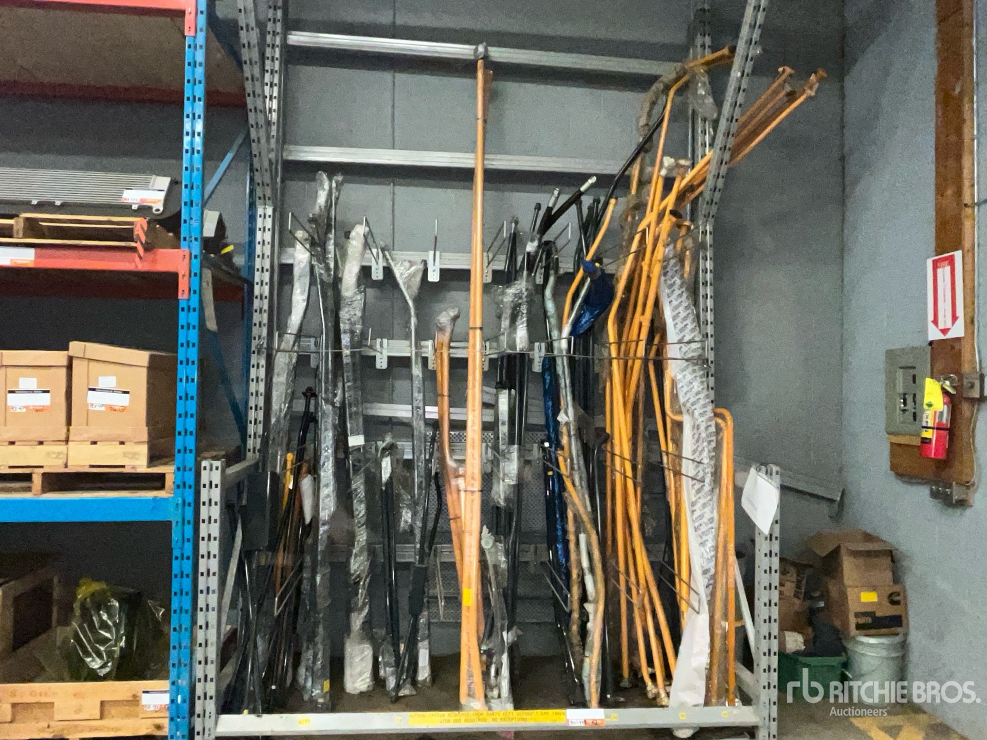 General Appearance with Foto, angolo anteriore sinistro