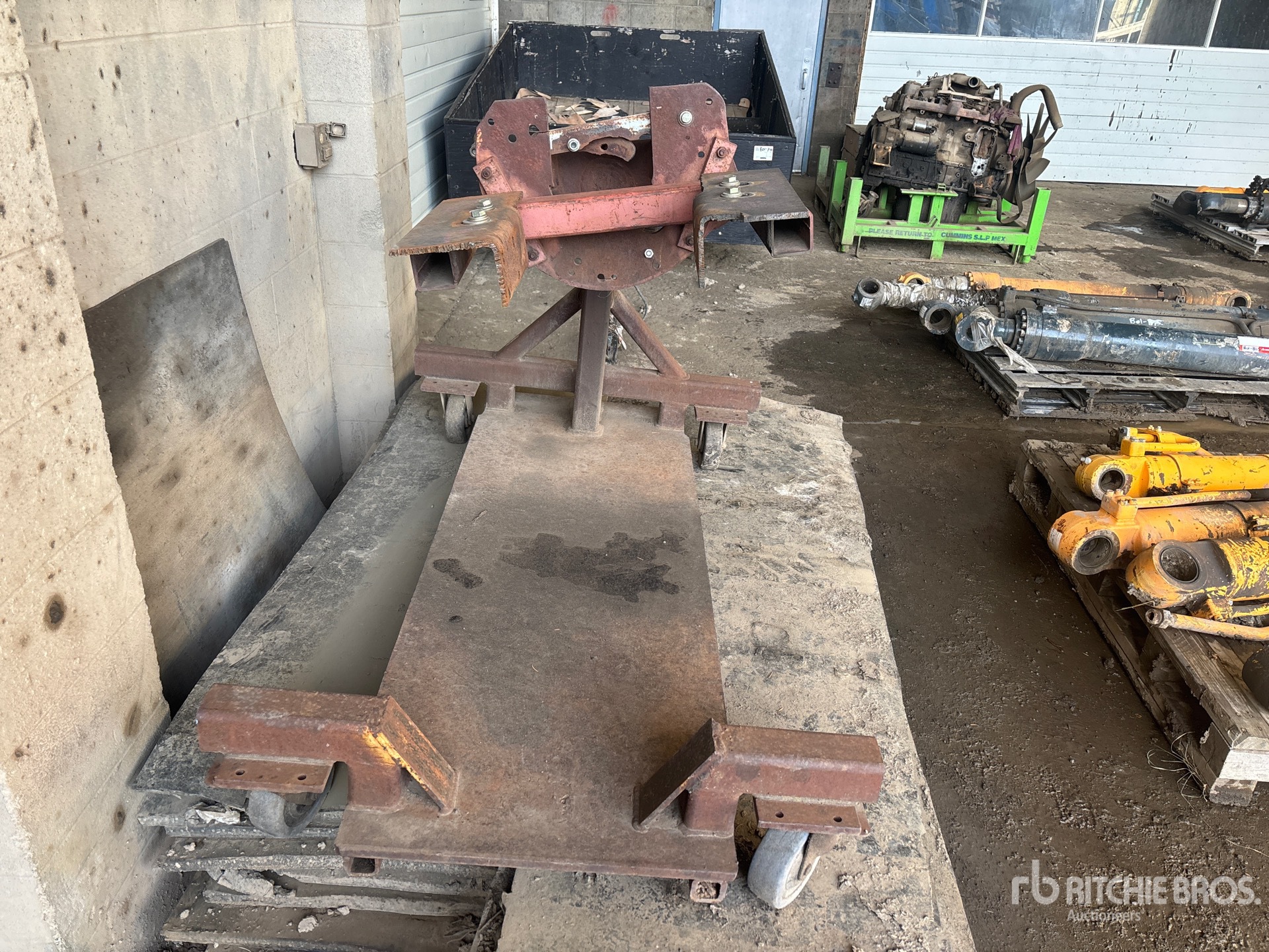 General Appearance with