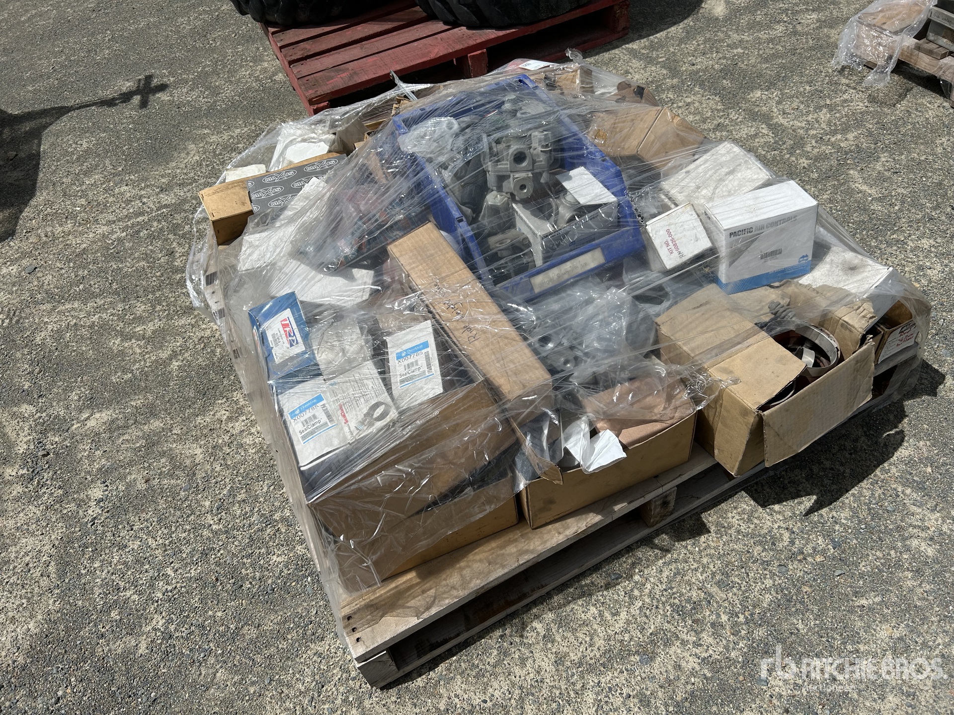 General Appearance with 