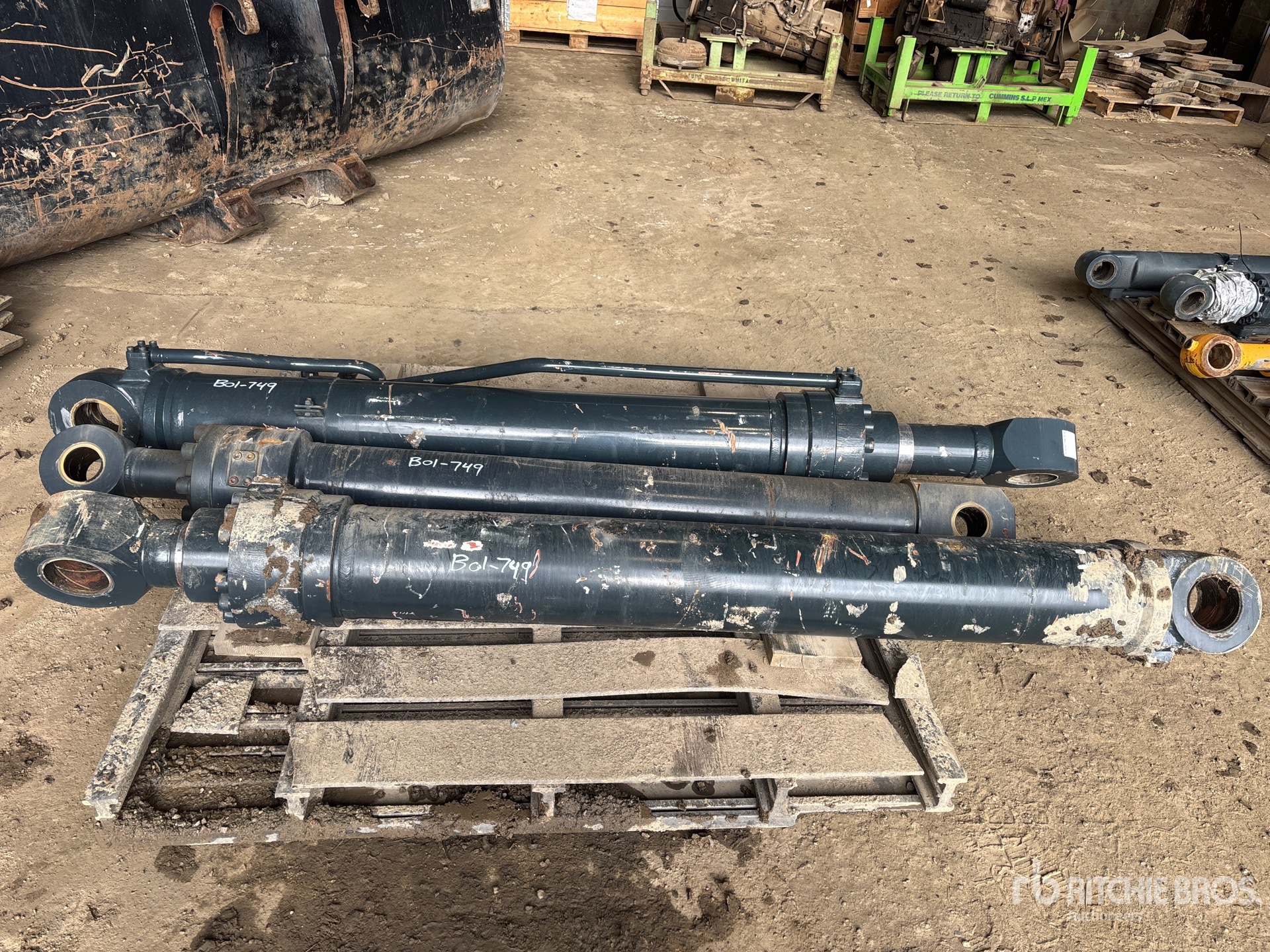 General Appearance with