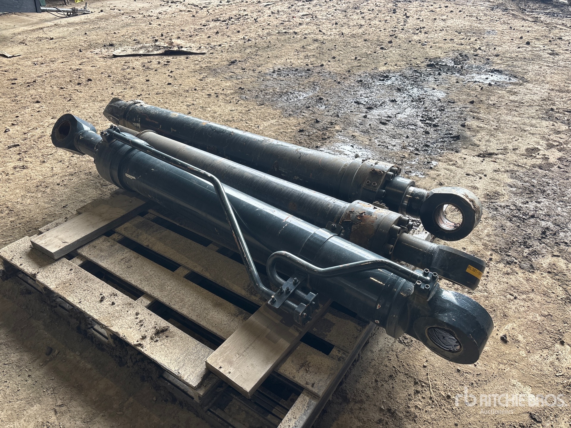 General Appearance with Foto, angolo anteriore sinistro