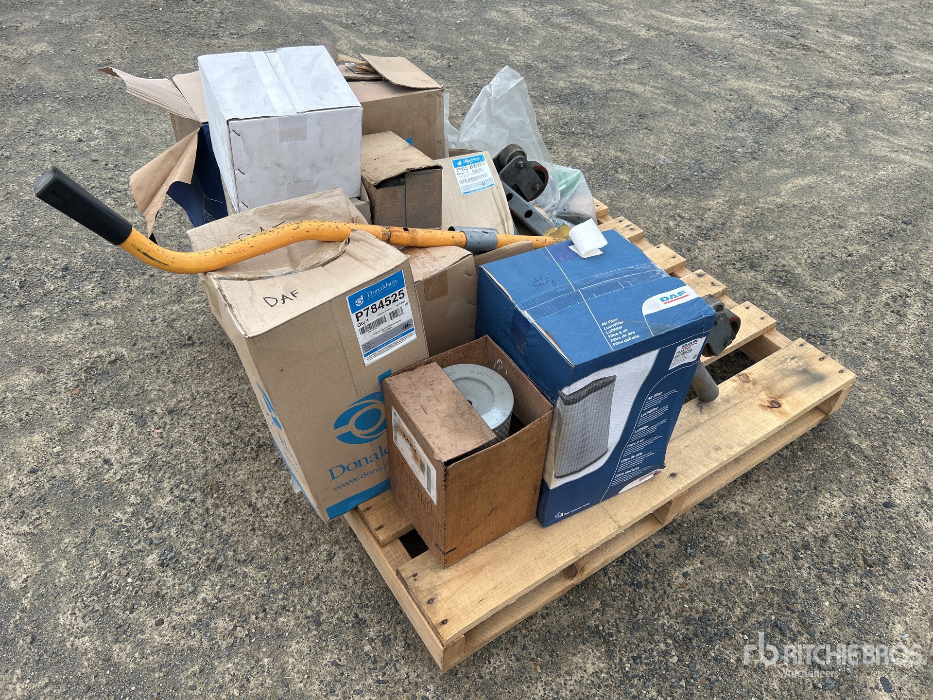 General Appearance with 