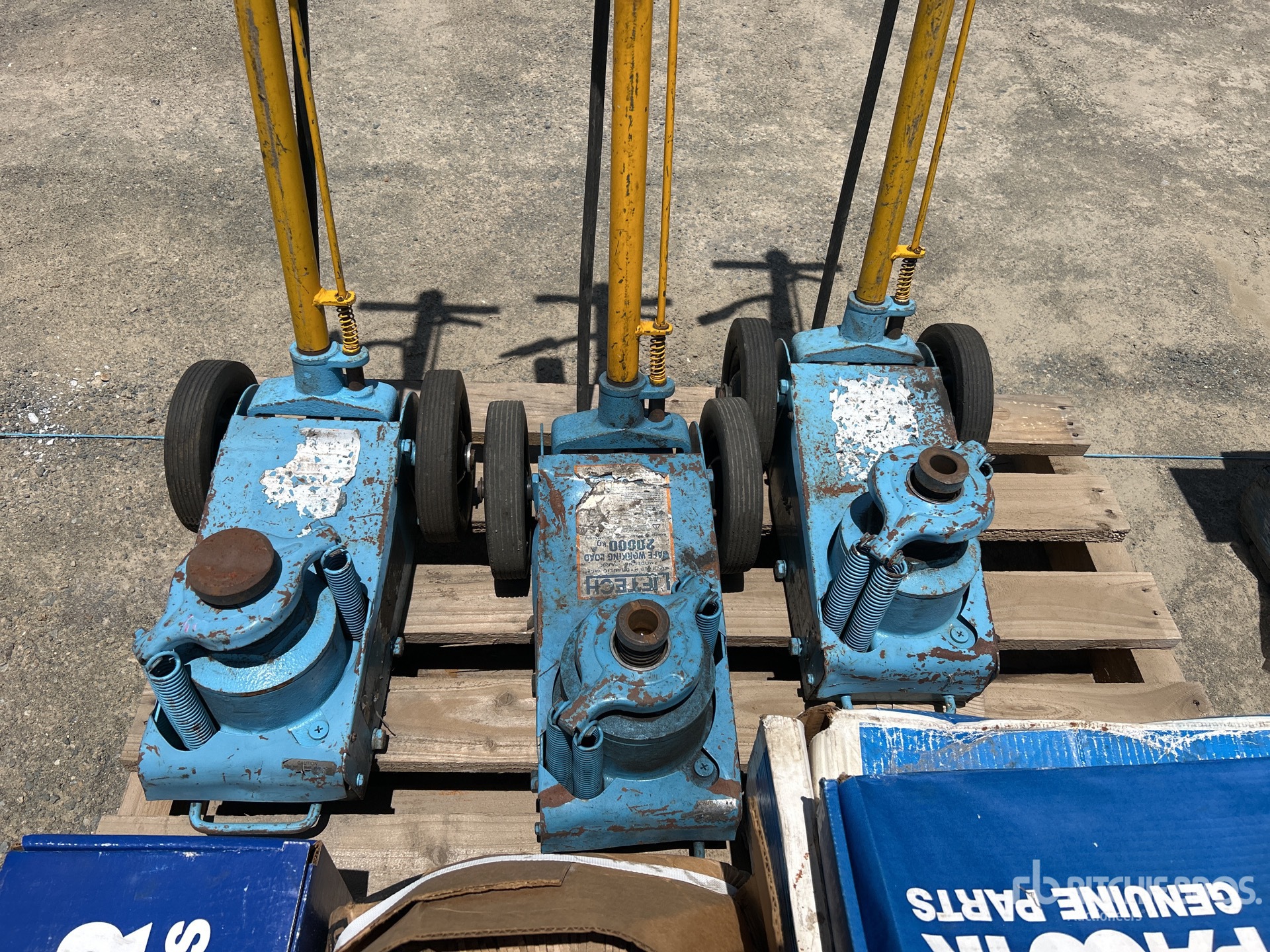 General Appearance with 