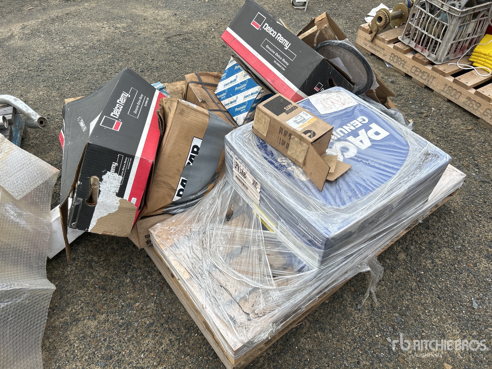 General Appearance with 