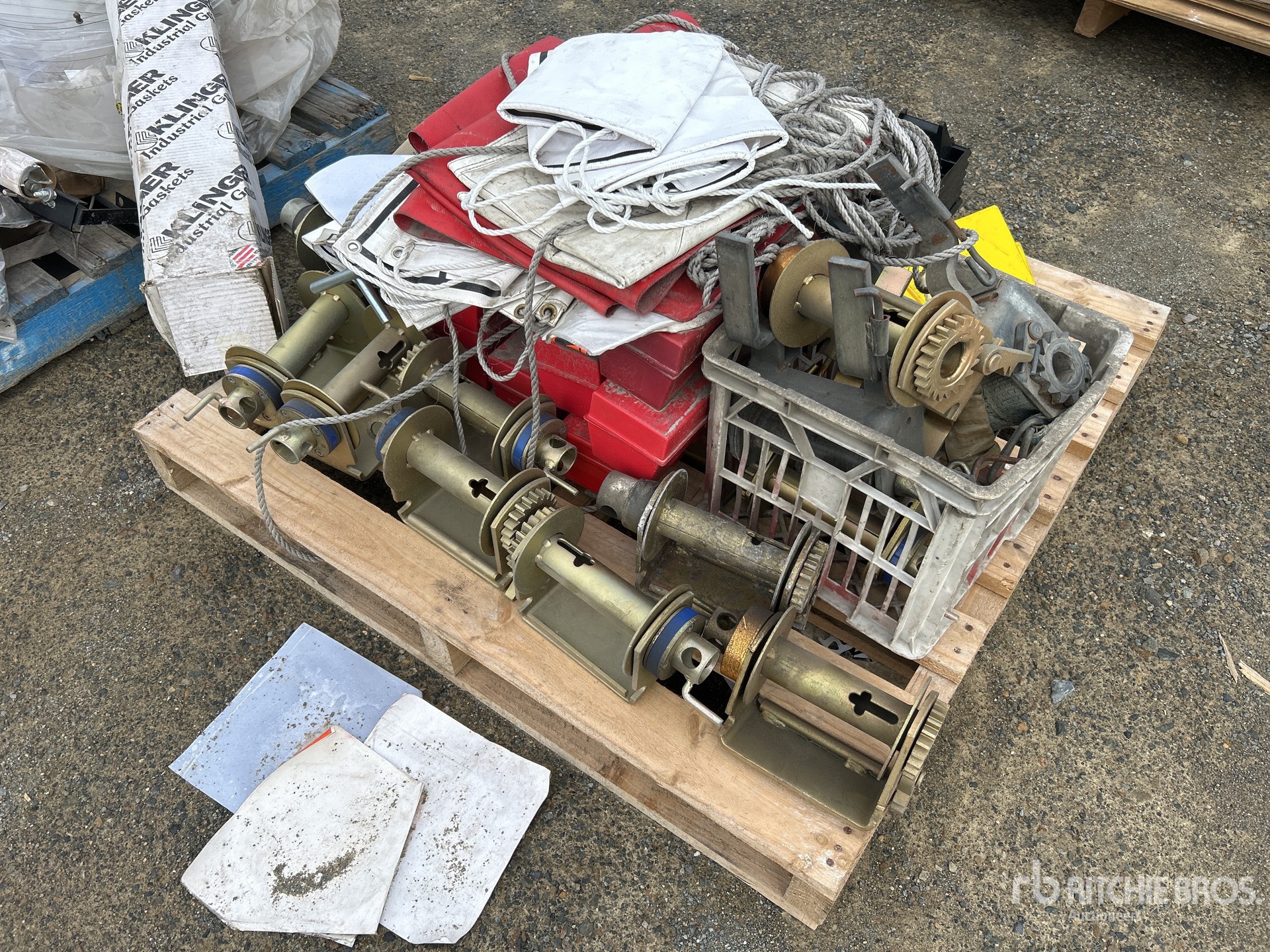 General Appearance with 