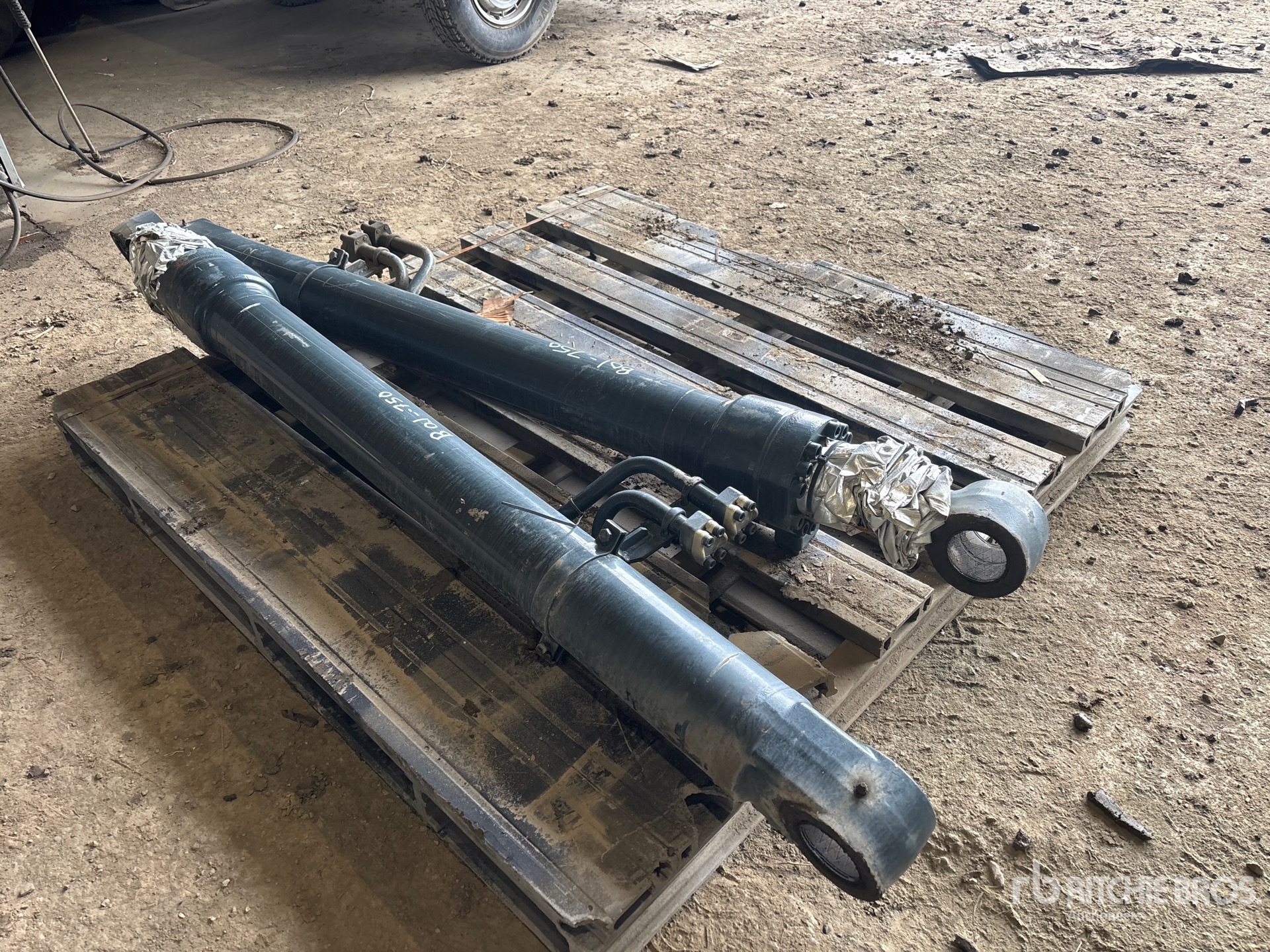 General Appearance with Foto, angolo anteriore sinistro