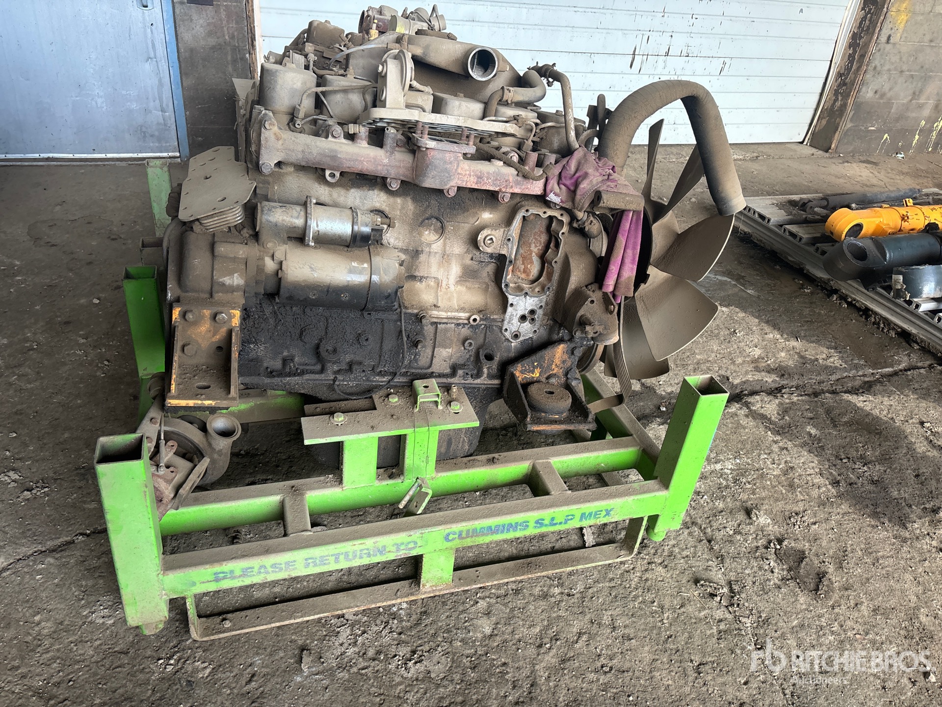 General Appearance with