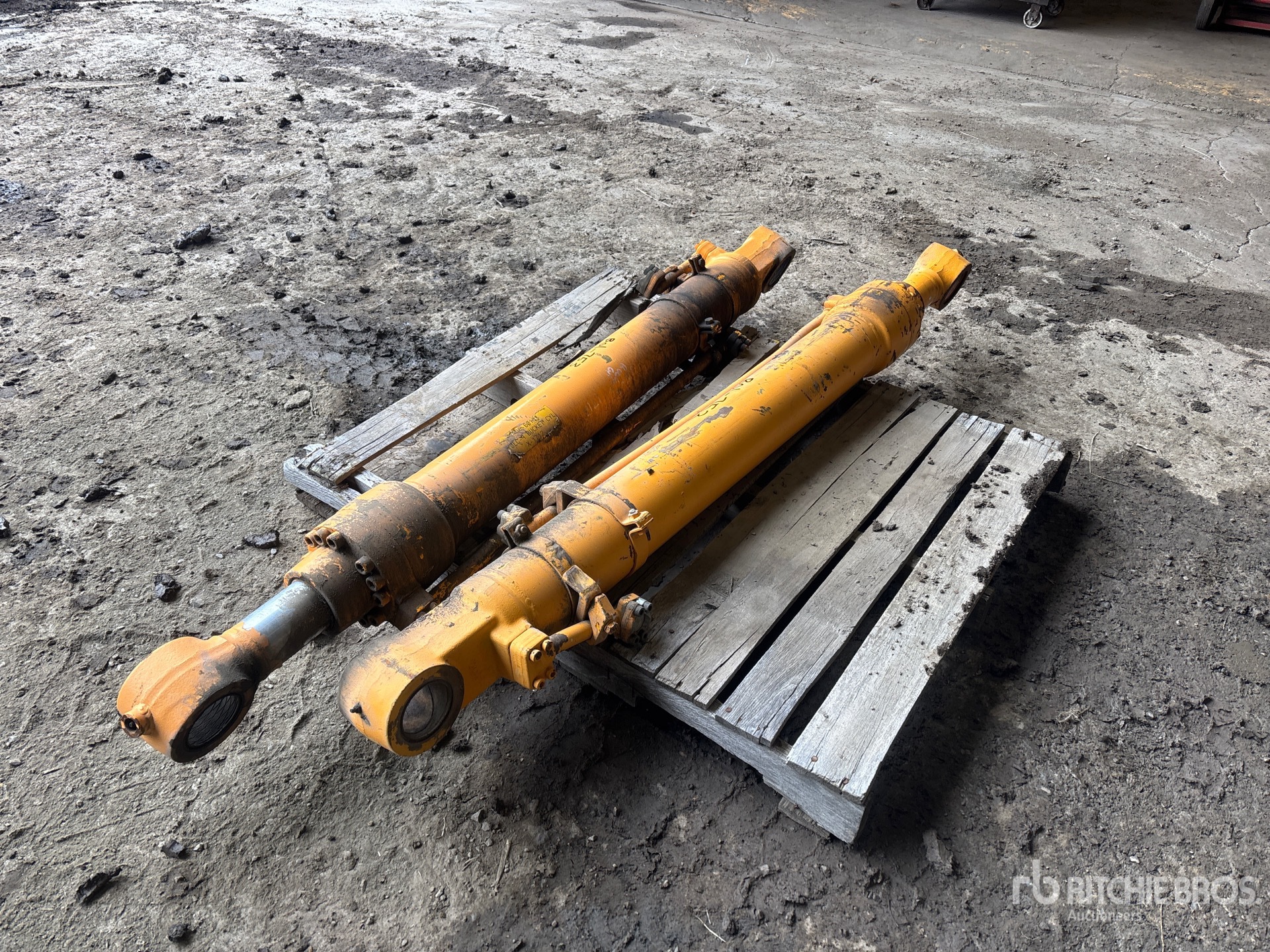 General Appearance with Foto, angolo posteriore sinistro