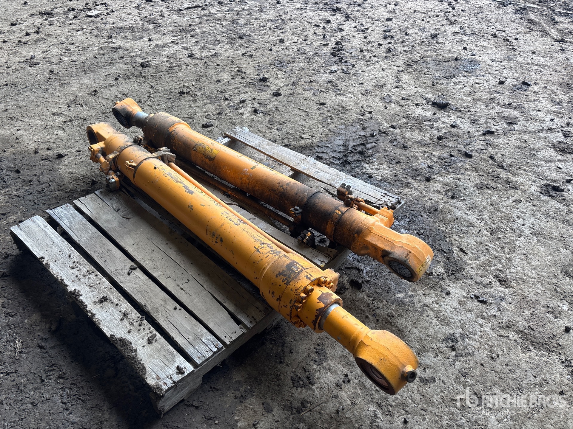 General Appearance with Foto, angolo anteriore sinistro