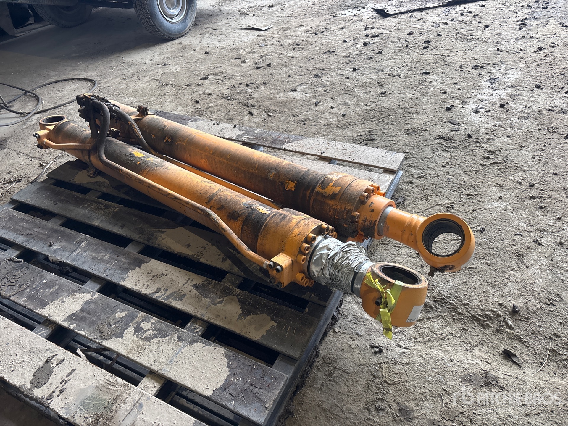 General Appearance with Foto, angolo anteriore sinistro