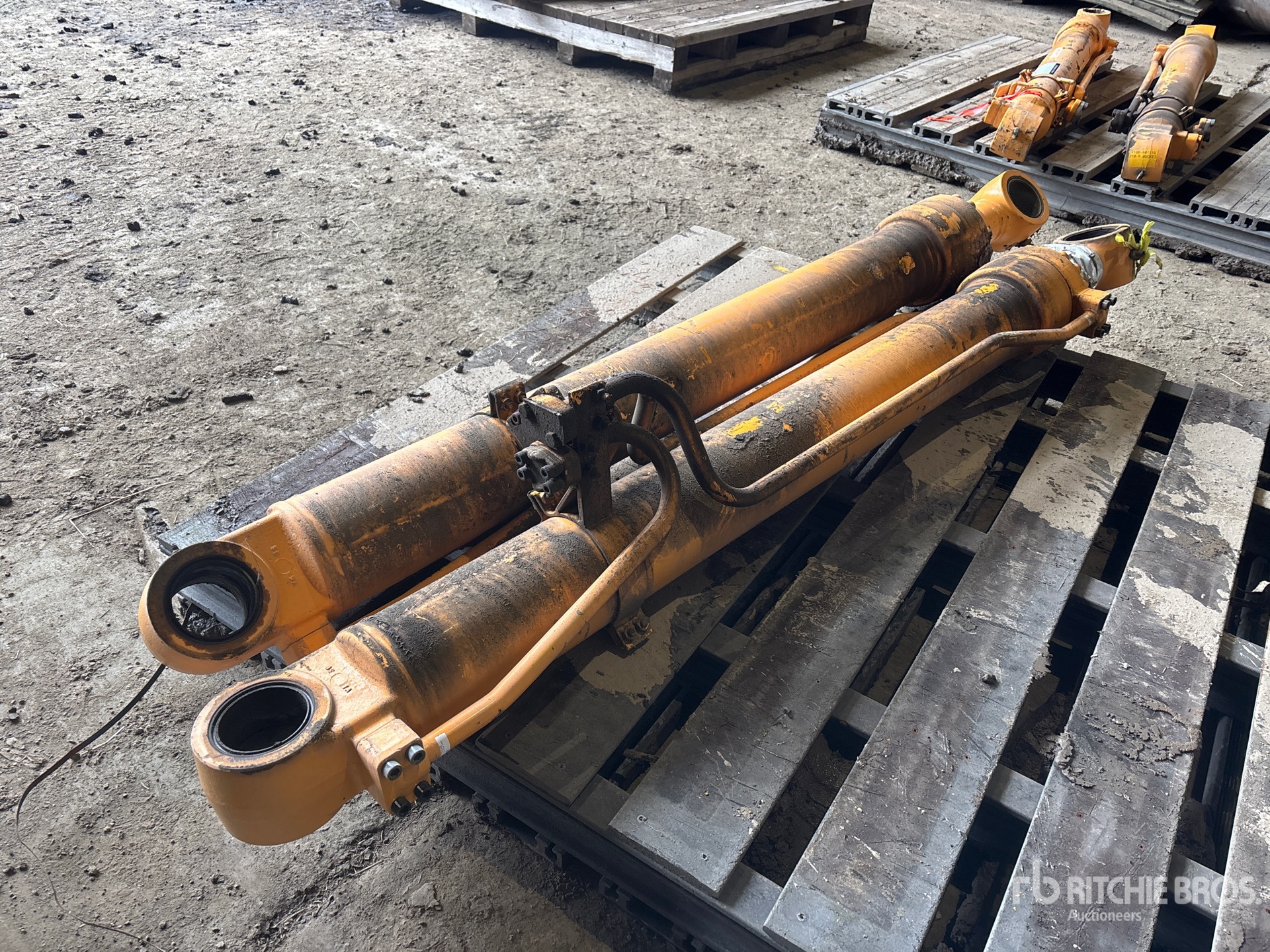 General Appearance with Foto, angolo posteriore sinistro