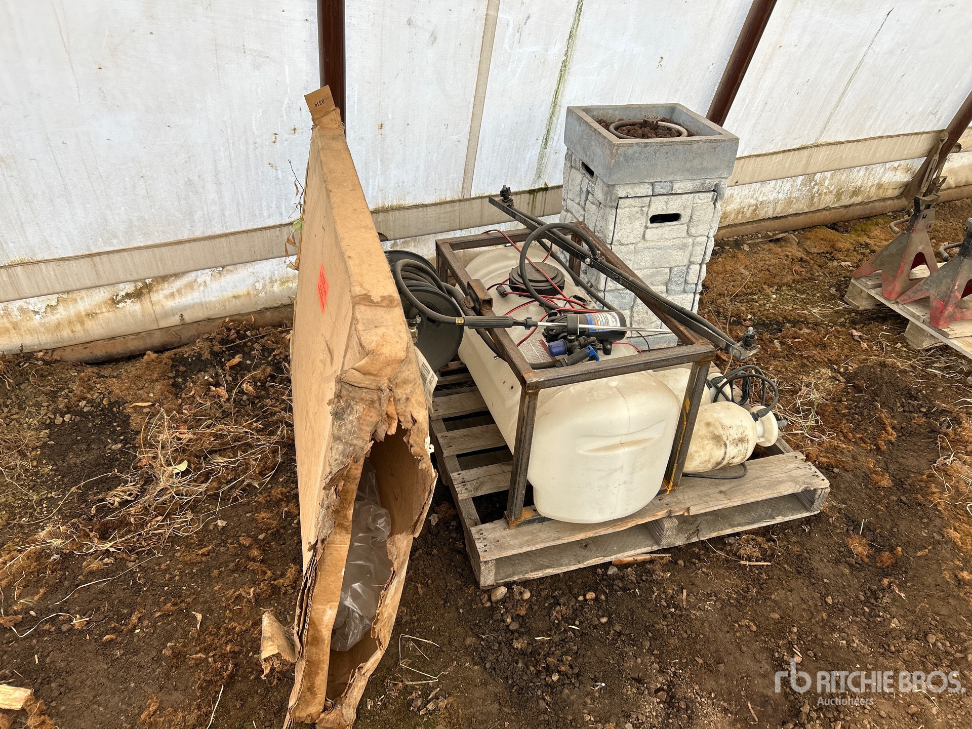 General Appearance with 