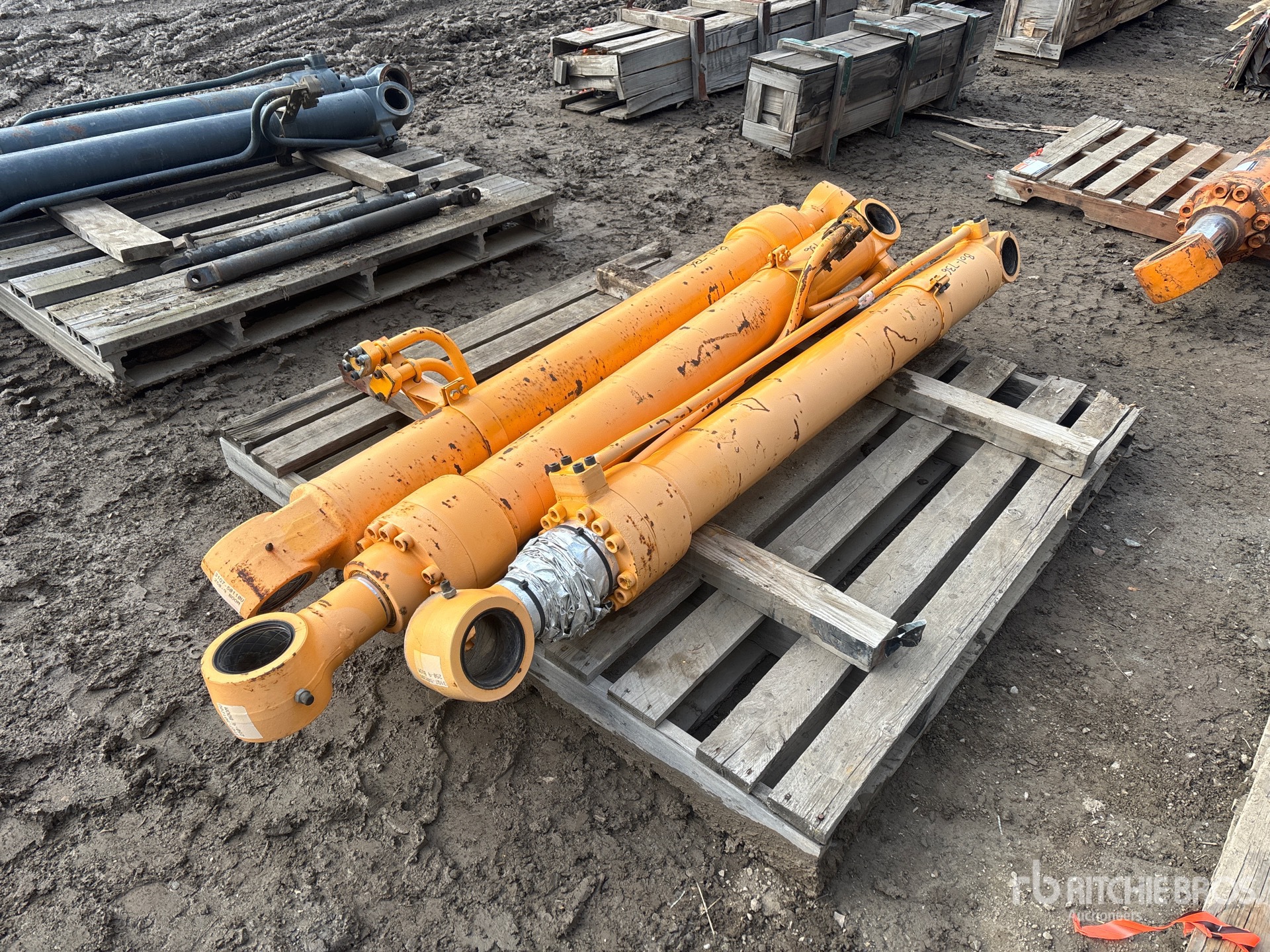 General Appearance with Bild, Ecke hinten links