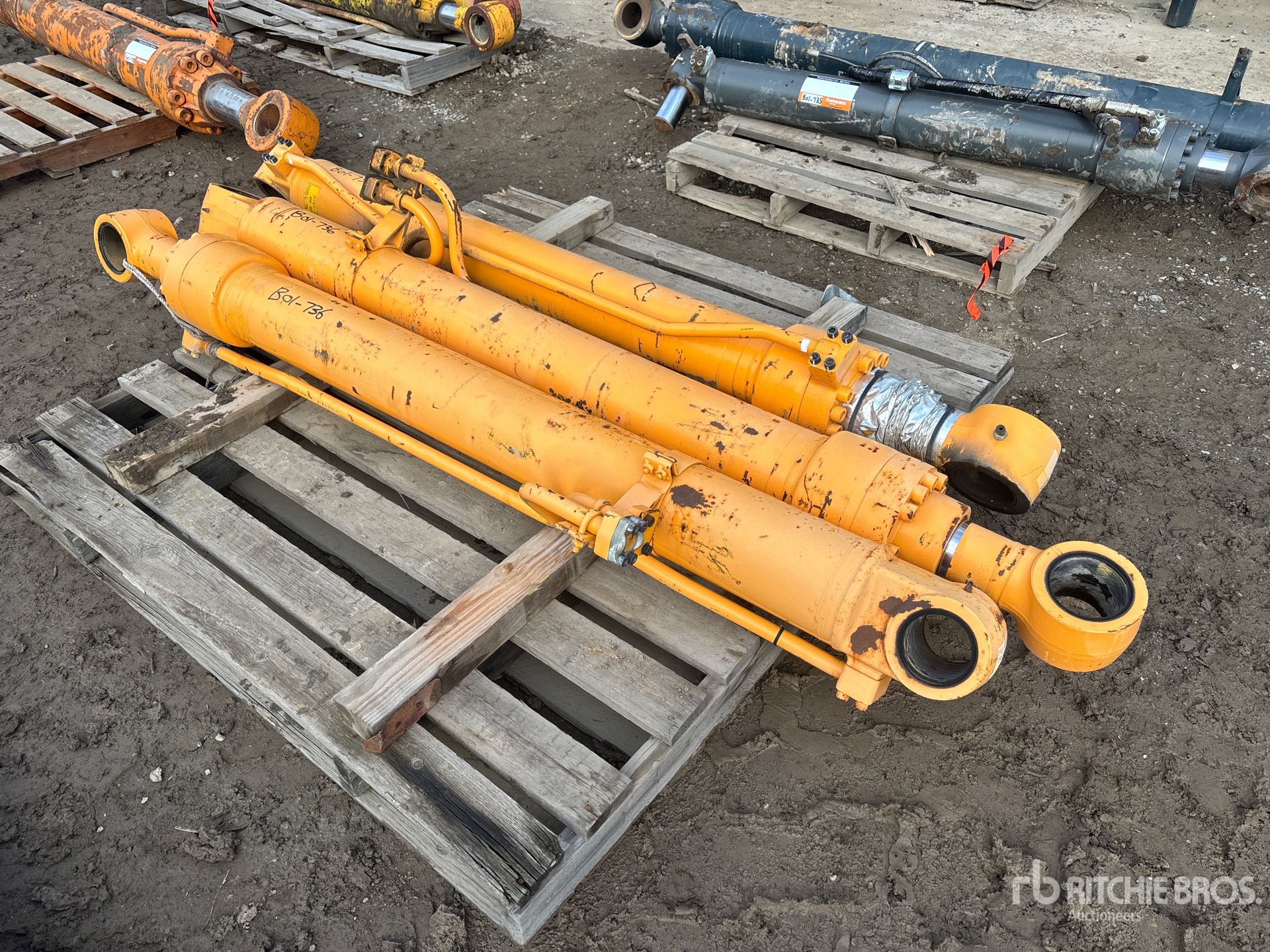 General Appearance with Bild, Ecke vorne links