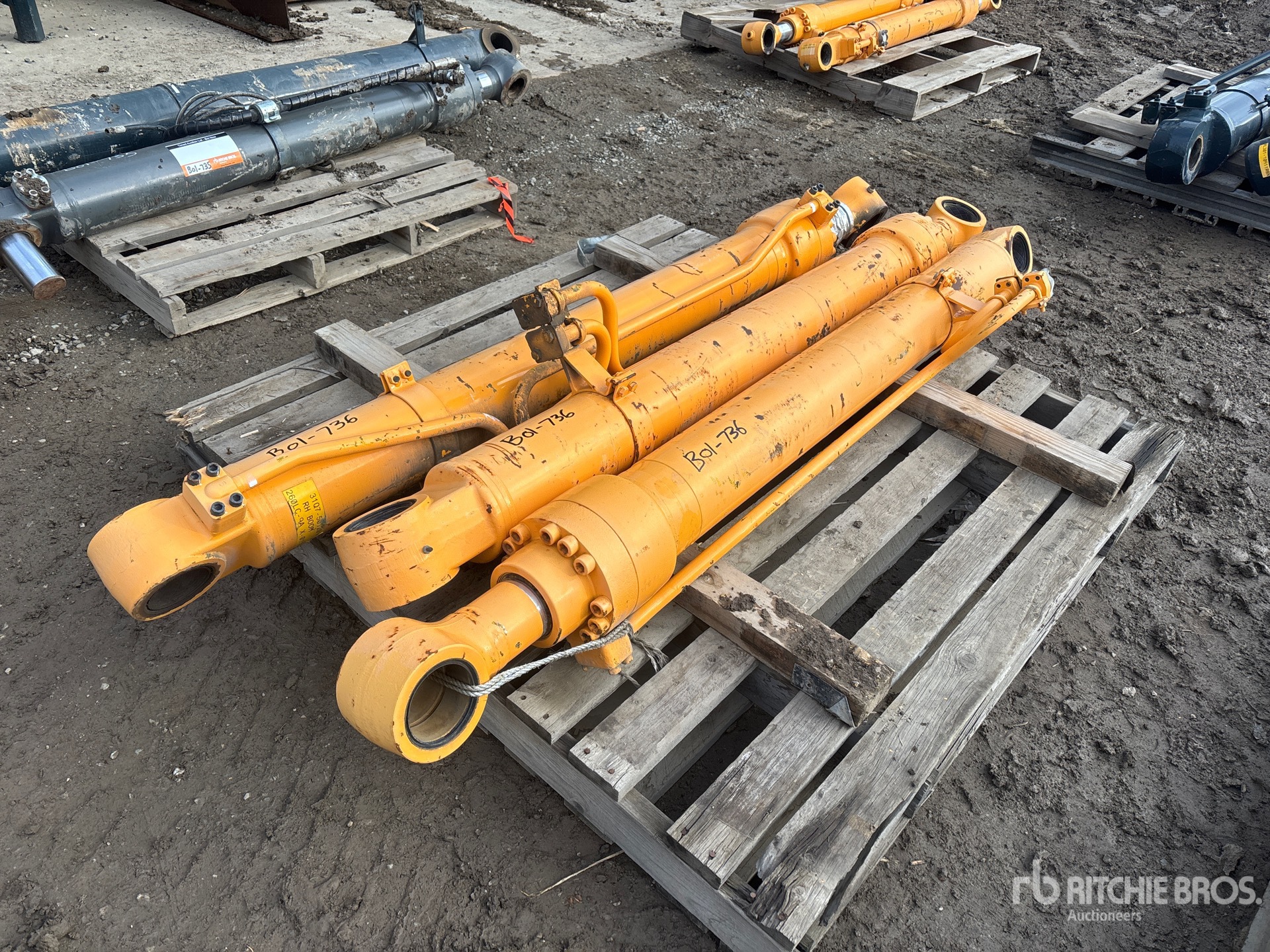 General Appearance with Bild, Ecke vorne rechts