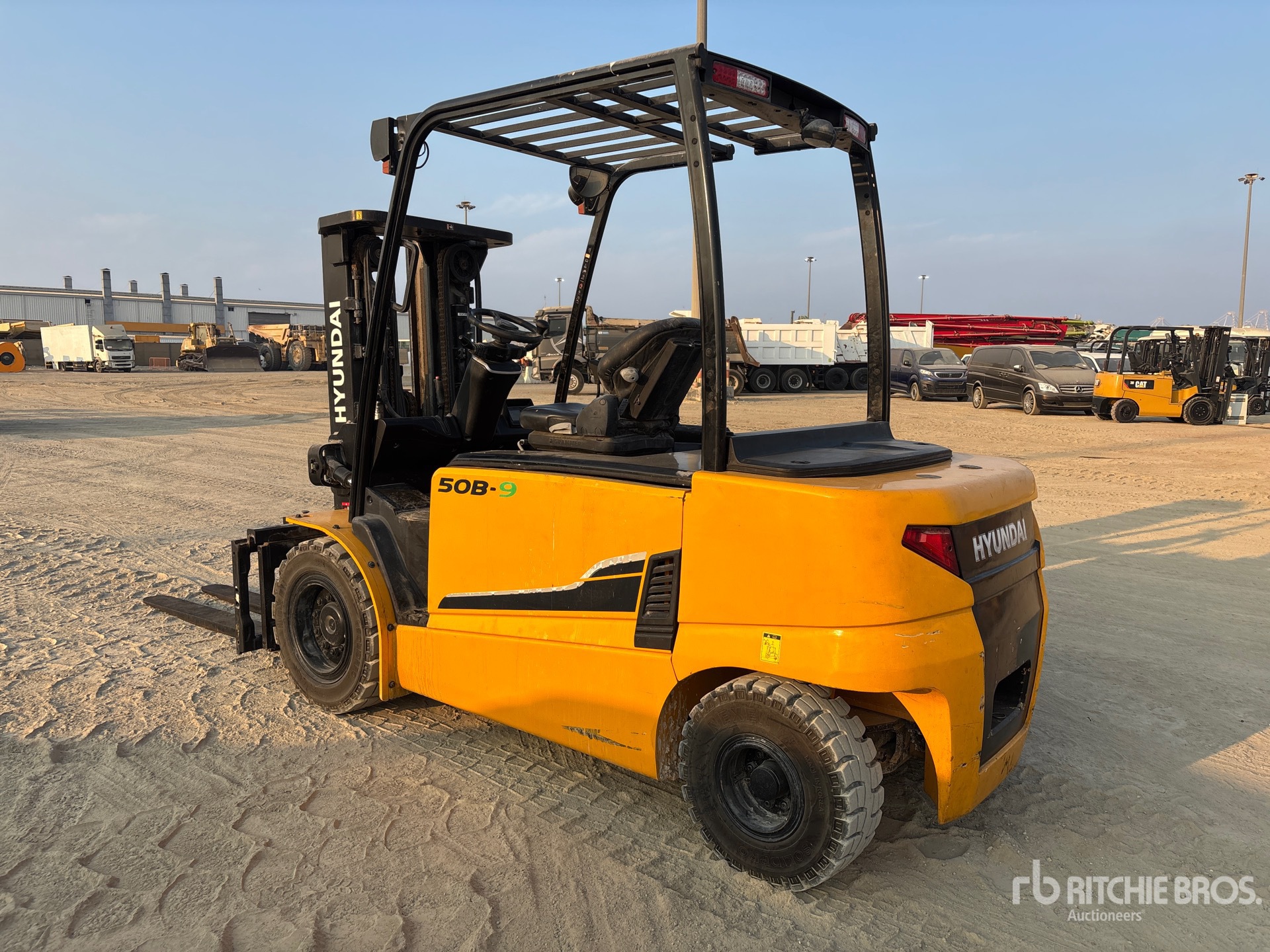 General Appearance with Zdjęcie, lewy dolny róg