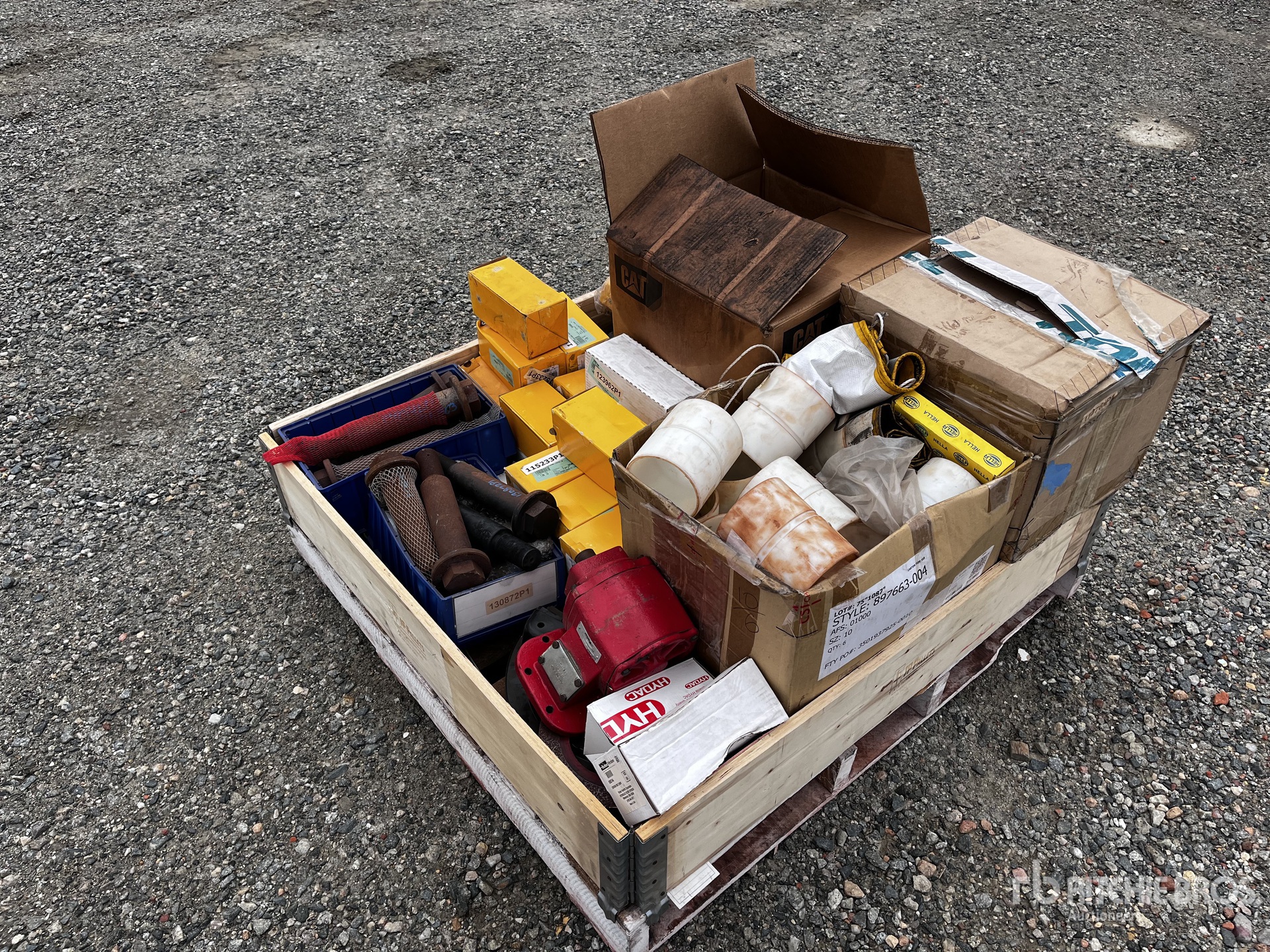 General Appearance with 