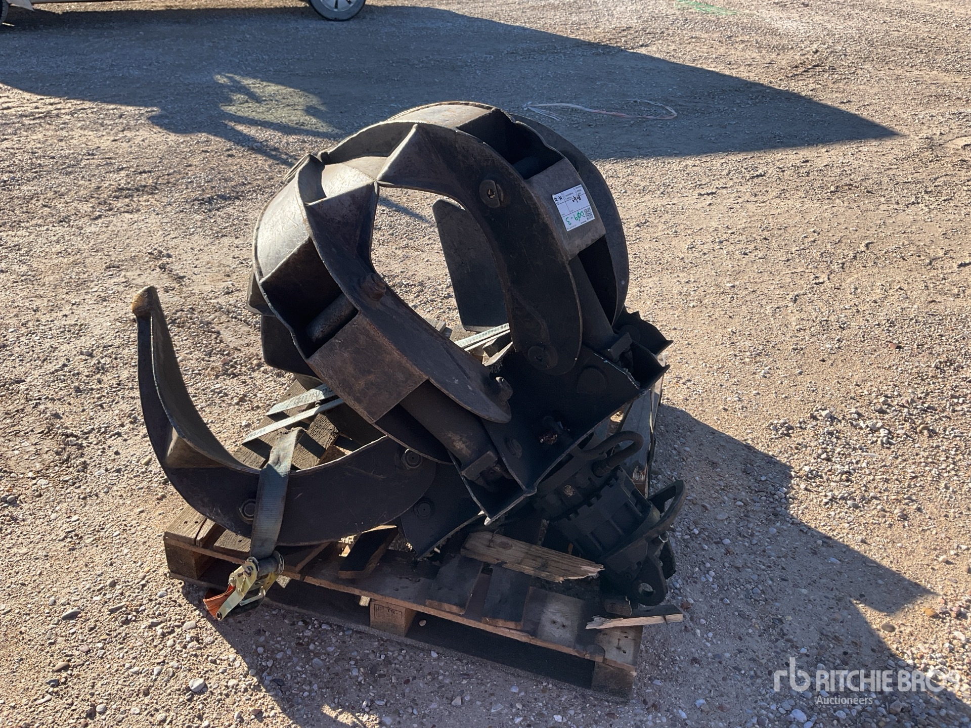 General Appearance with Foto, angolo anteriore sinistro