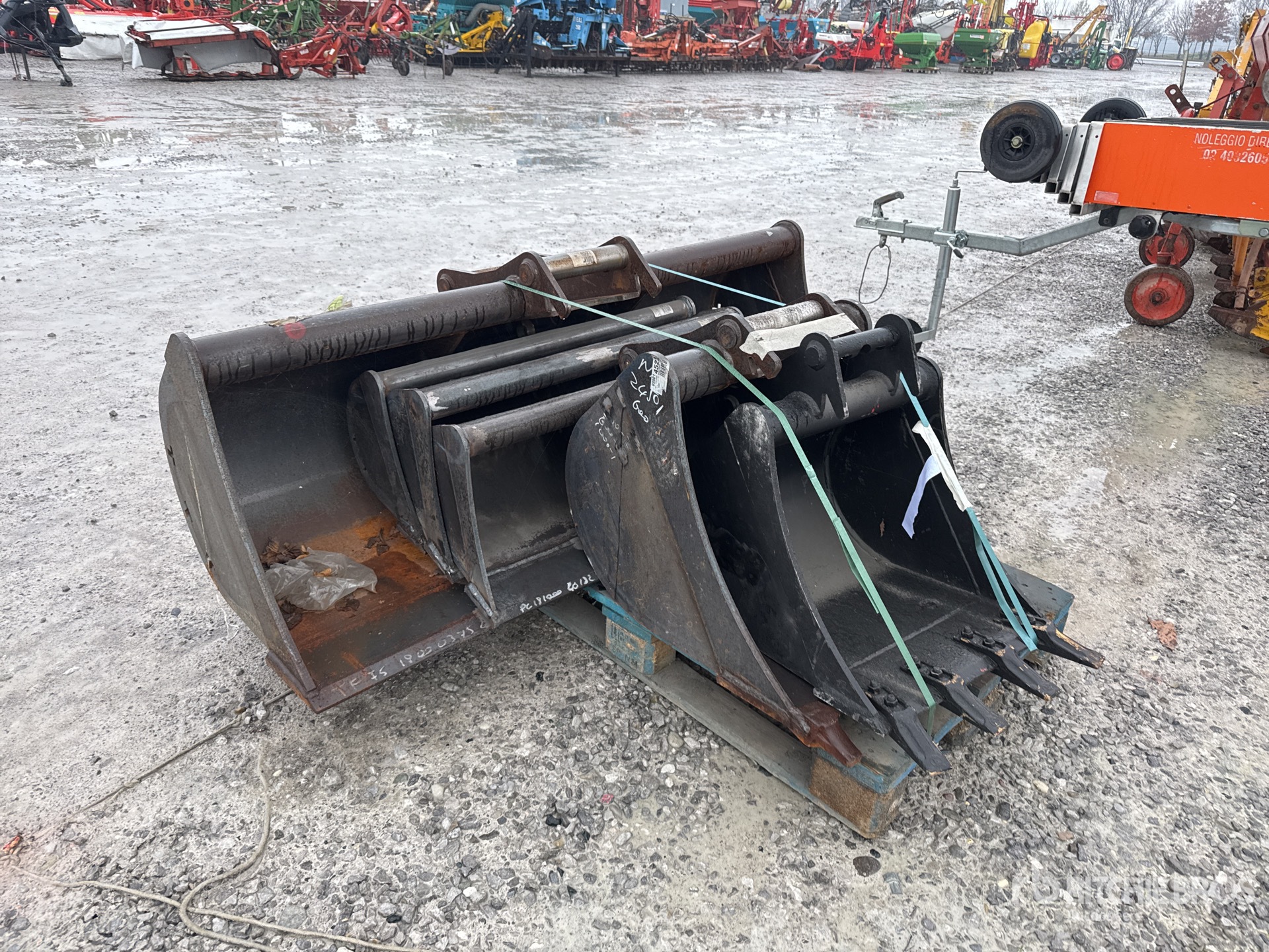 General Appearance with 