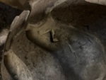 Underbody with Tire Condition