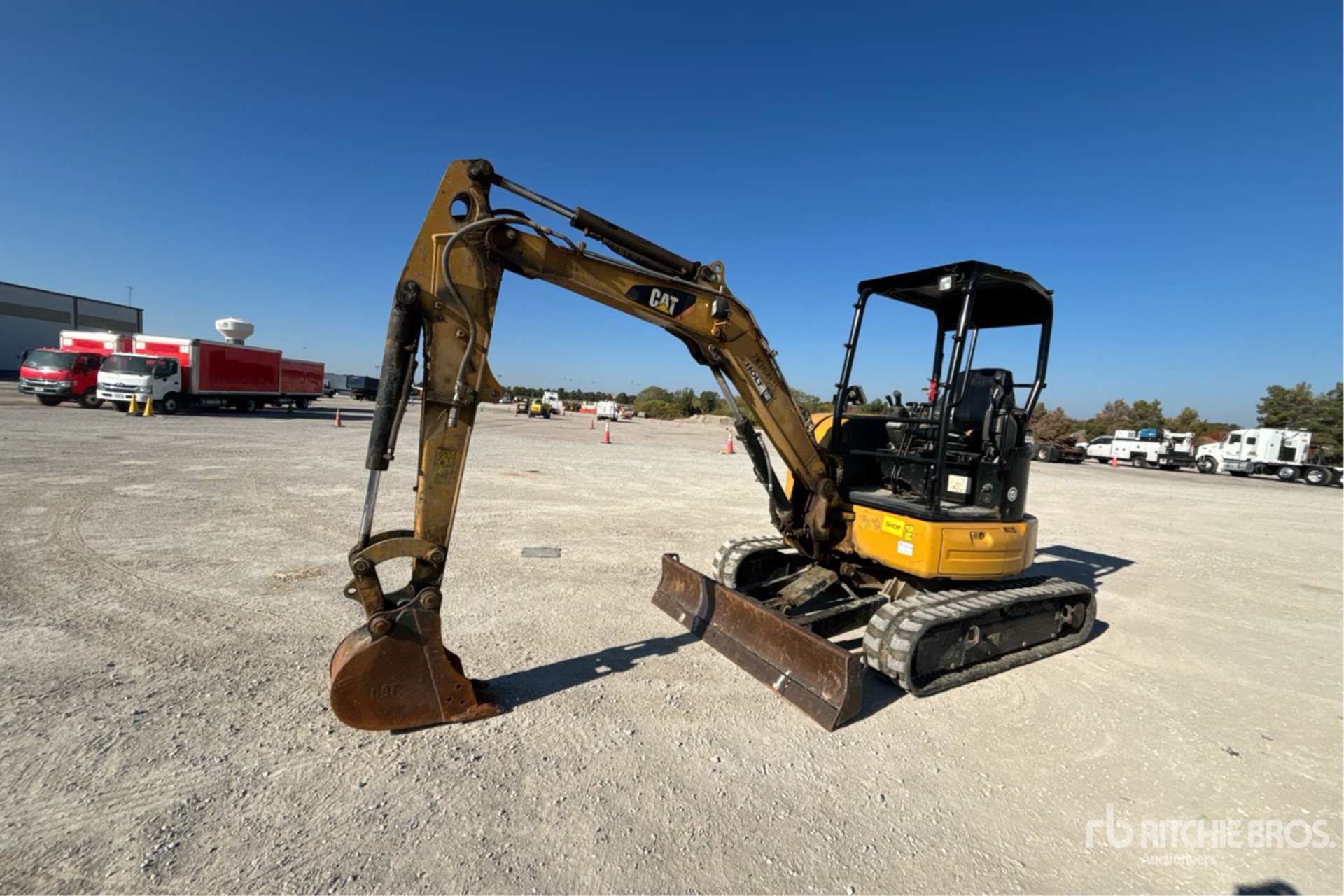 General Appearance with Spin