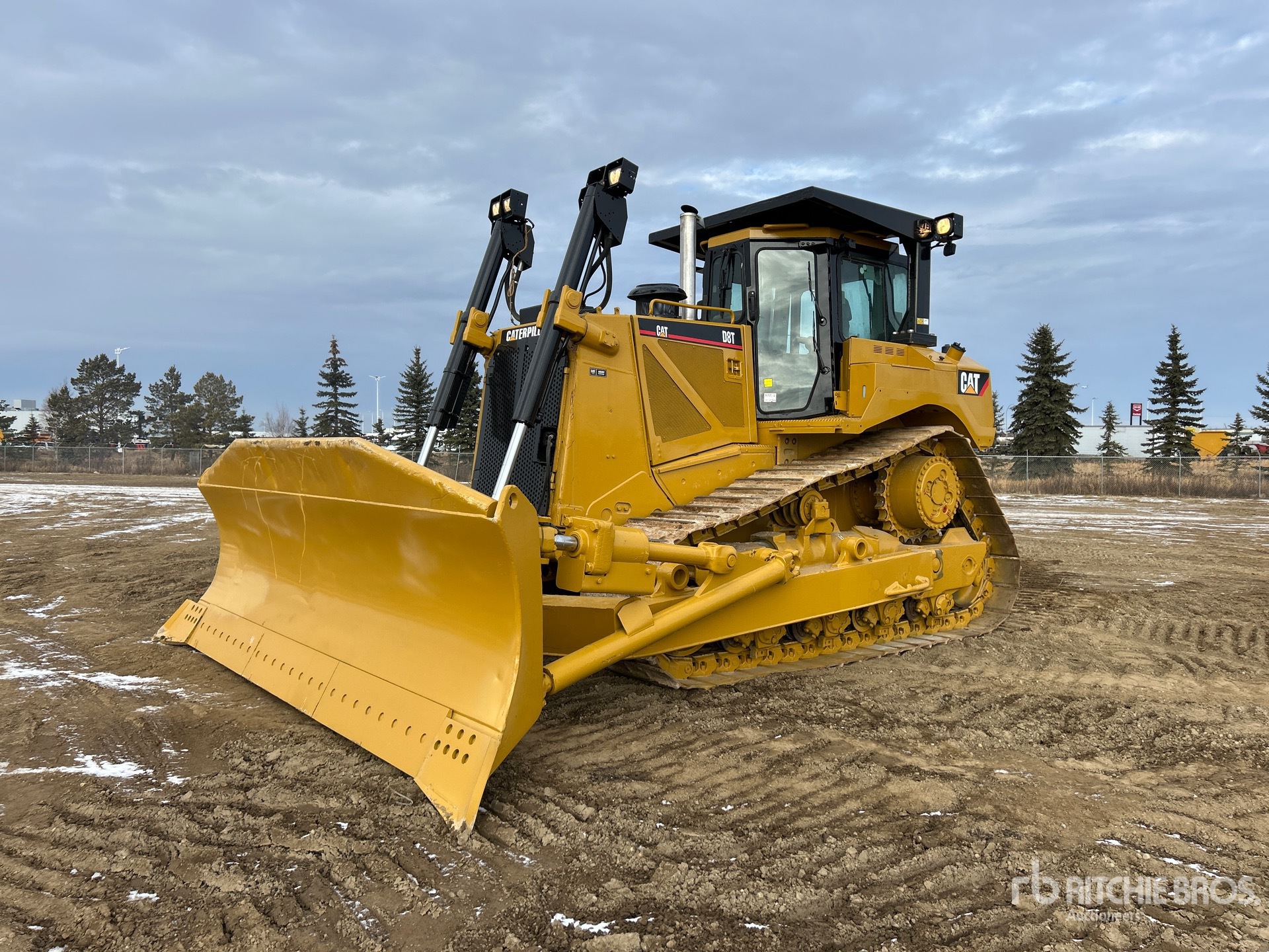 General Appearance with Spin