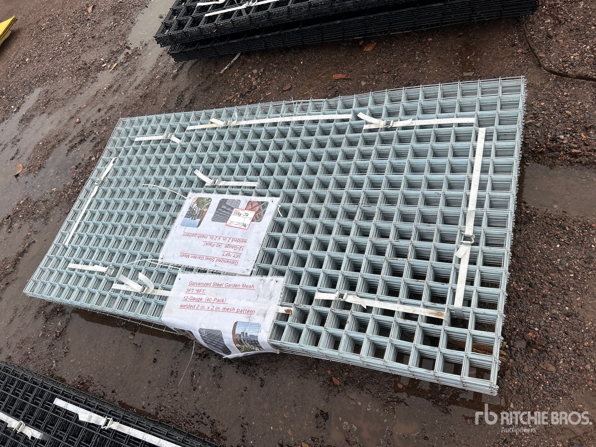 General Appearance with Featured Photo