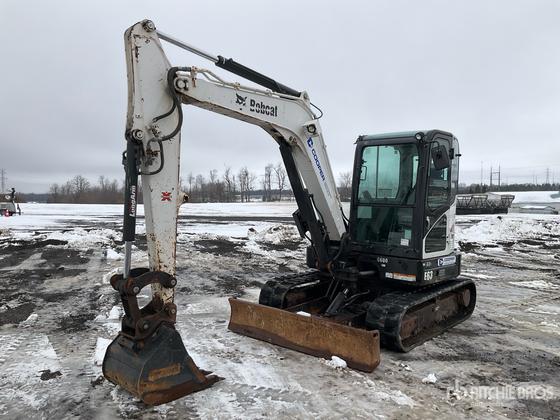 General Appearance with Spin