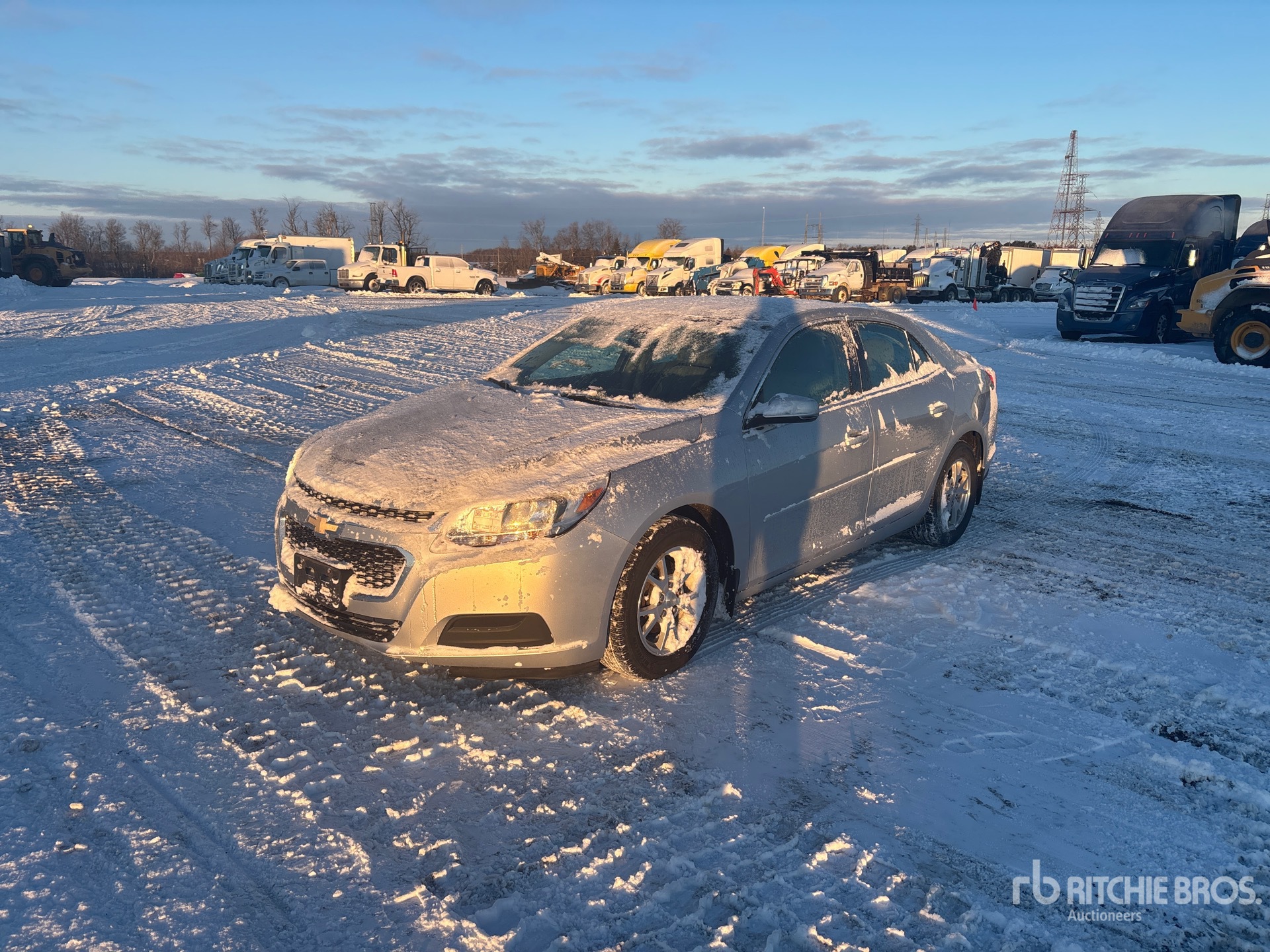 General Appearance with Spin