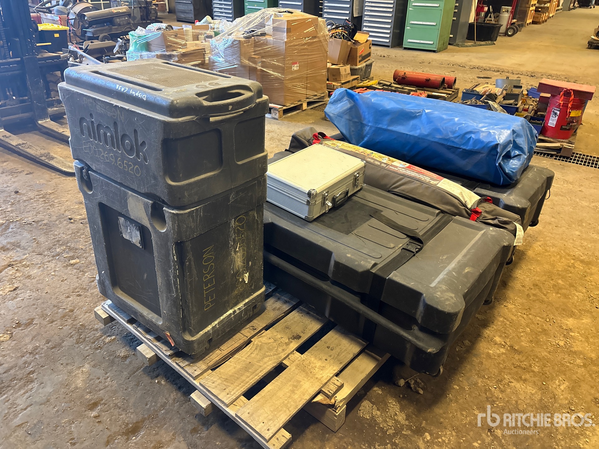 General Appearance with Bild, Ecke hinten links