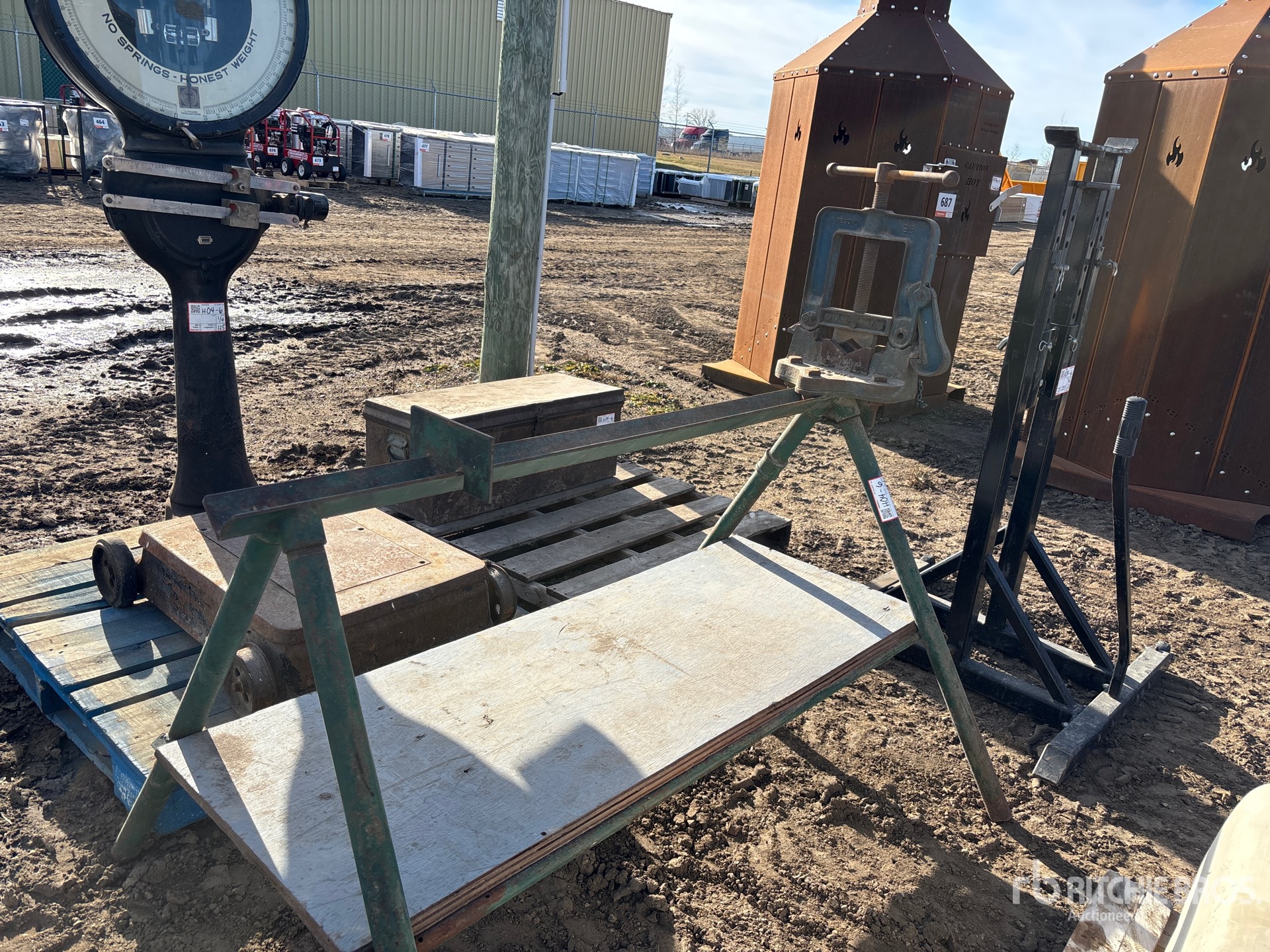 General Appearance with