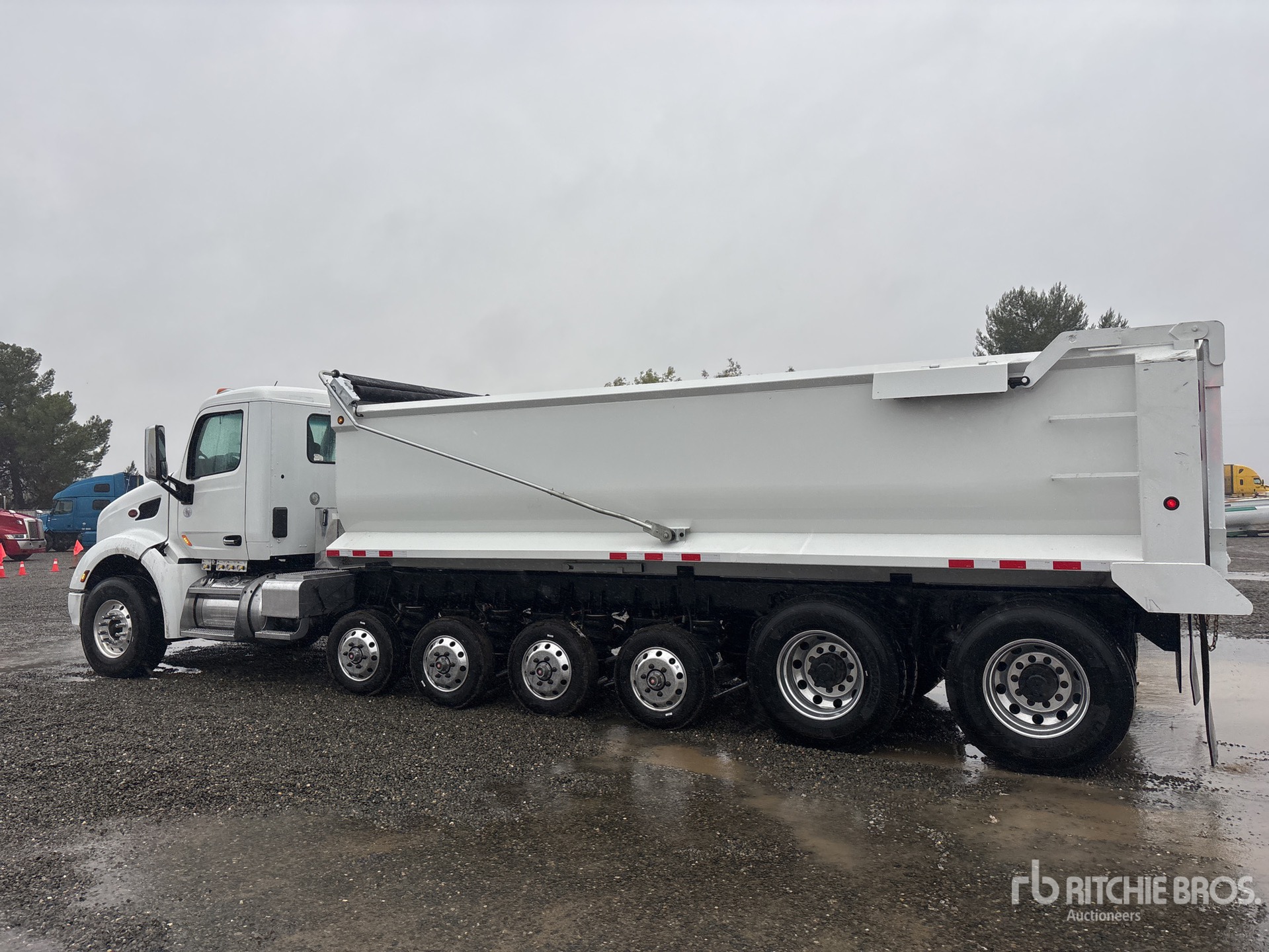 General Appearance with Bild, Ecke hinten links