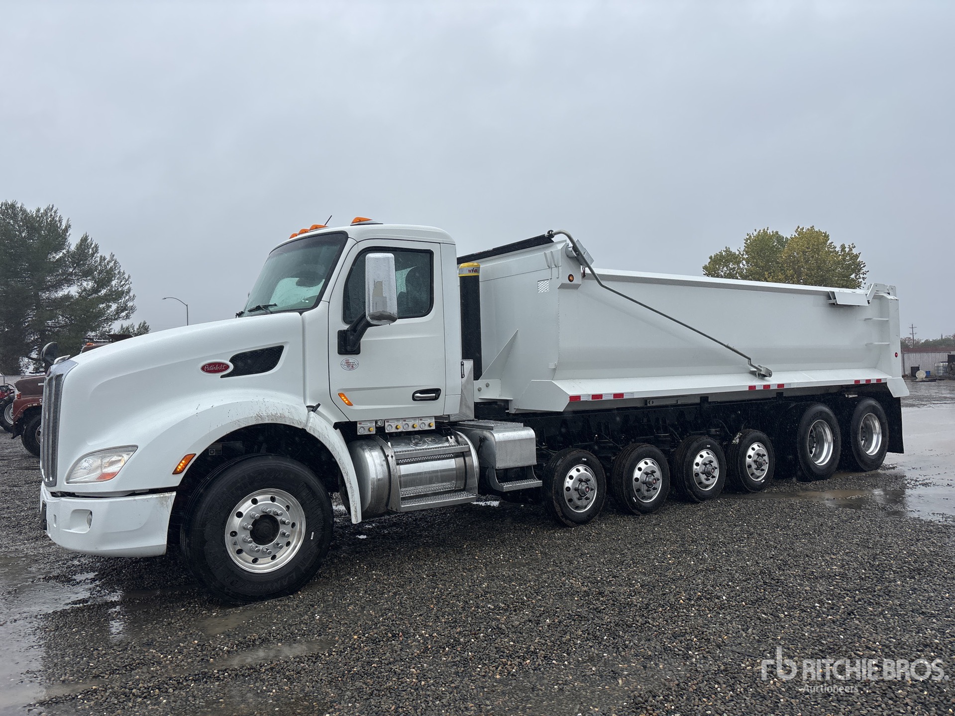 General Appearance with Bild, Ecke vorne links