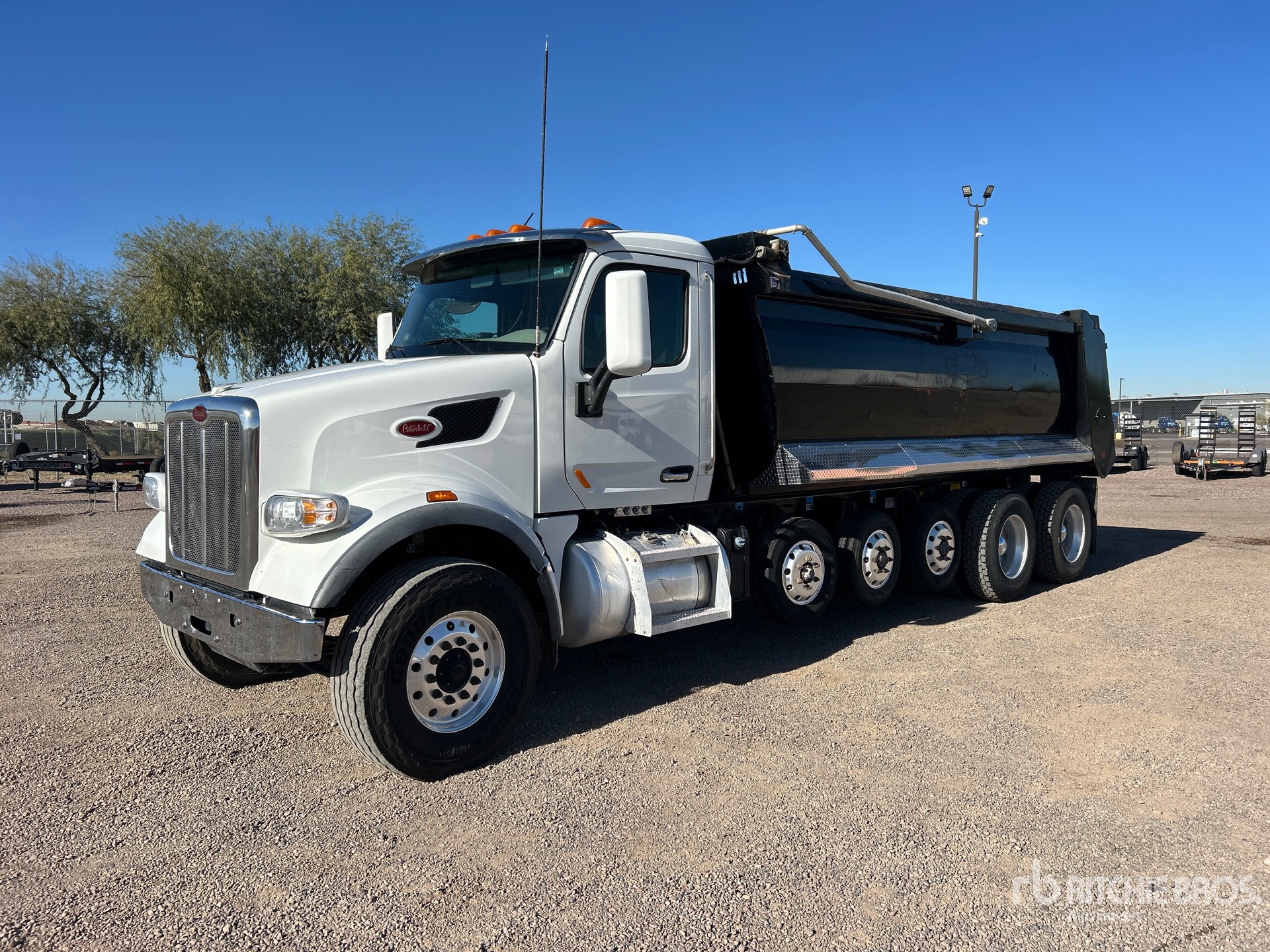 General Appearance with Spin