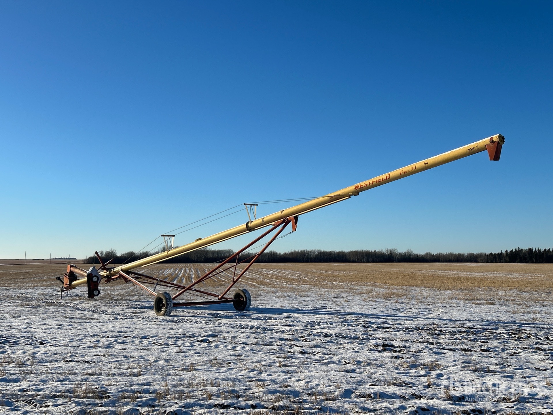 General Appearance with Foto, angolo posteriore sinistro
