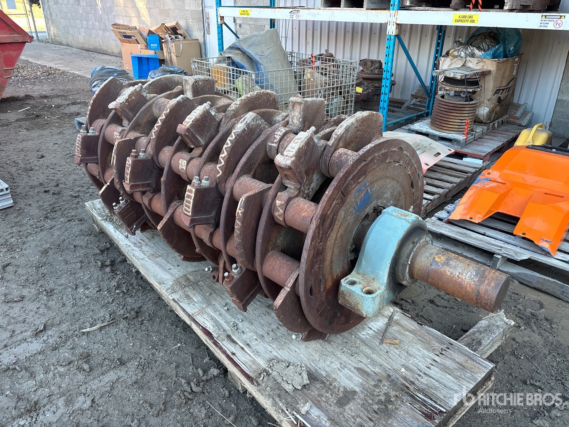 General Appearance with Bild, Ecke vorne links