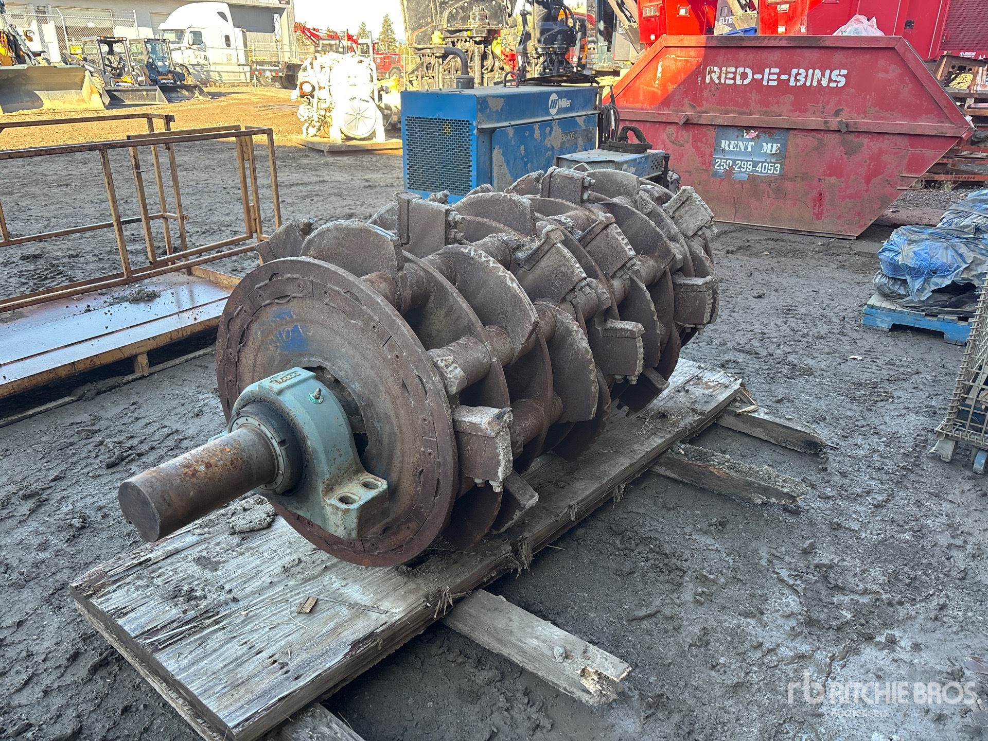 General Appearance with Bild, Ecke hinten links