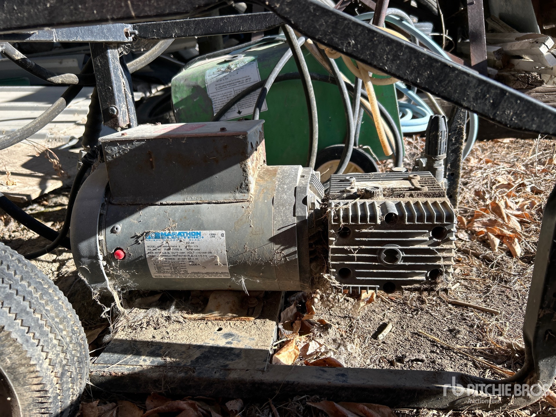 General Appearance with 