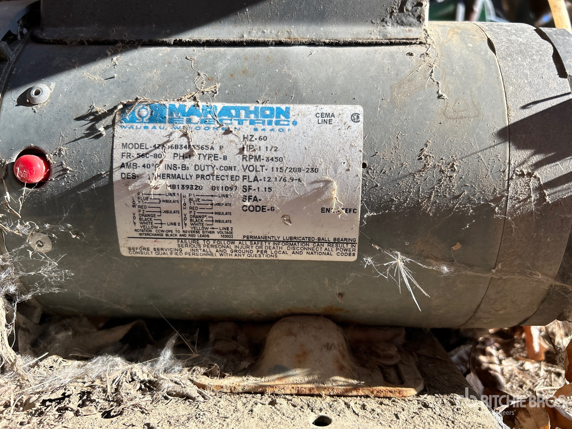 General Appearance with 